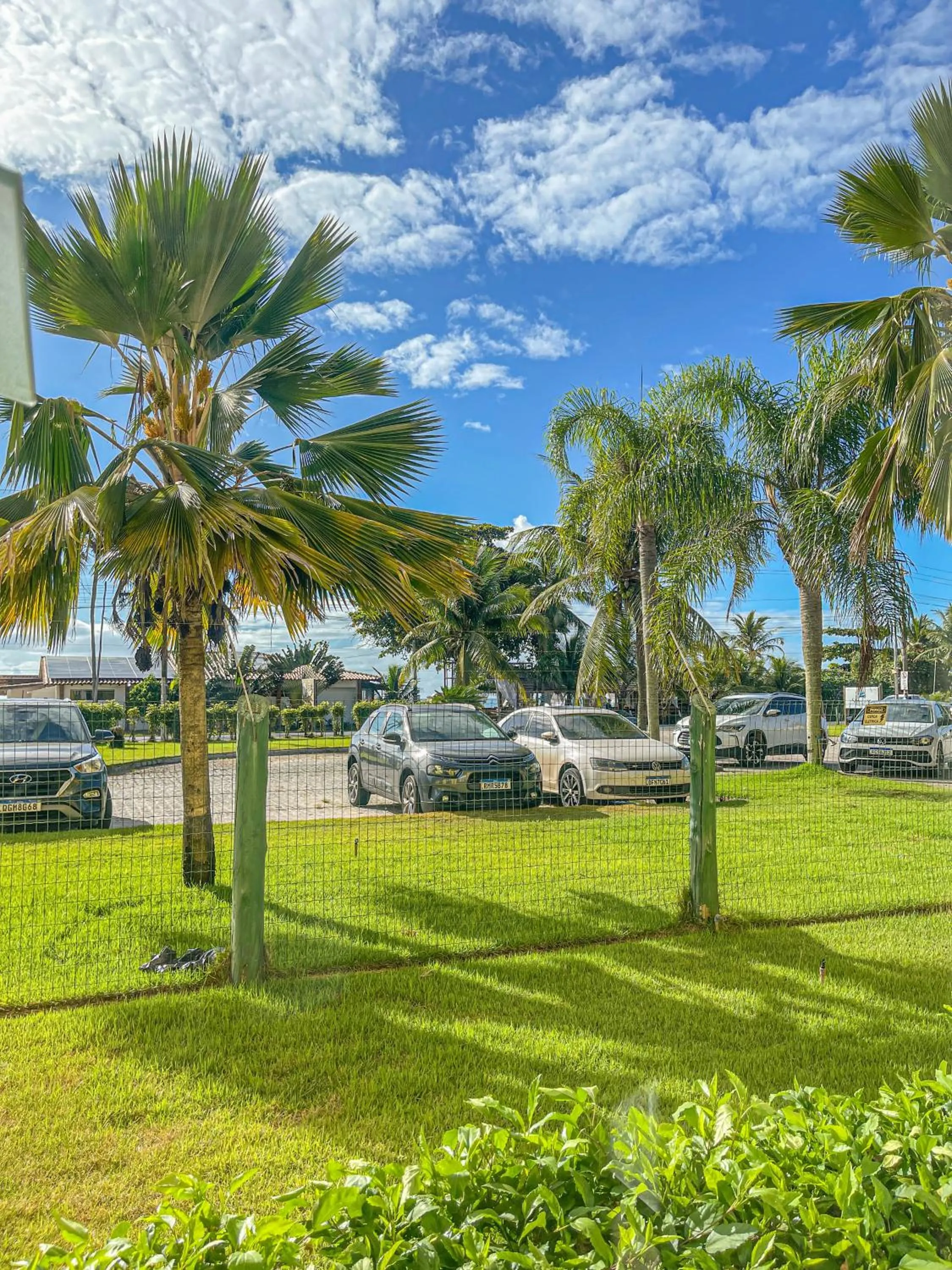 Garden in Sunshine Praia Hotel