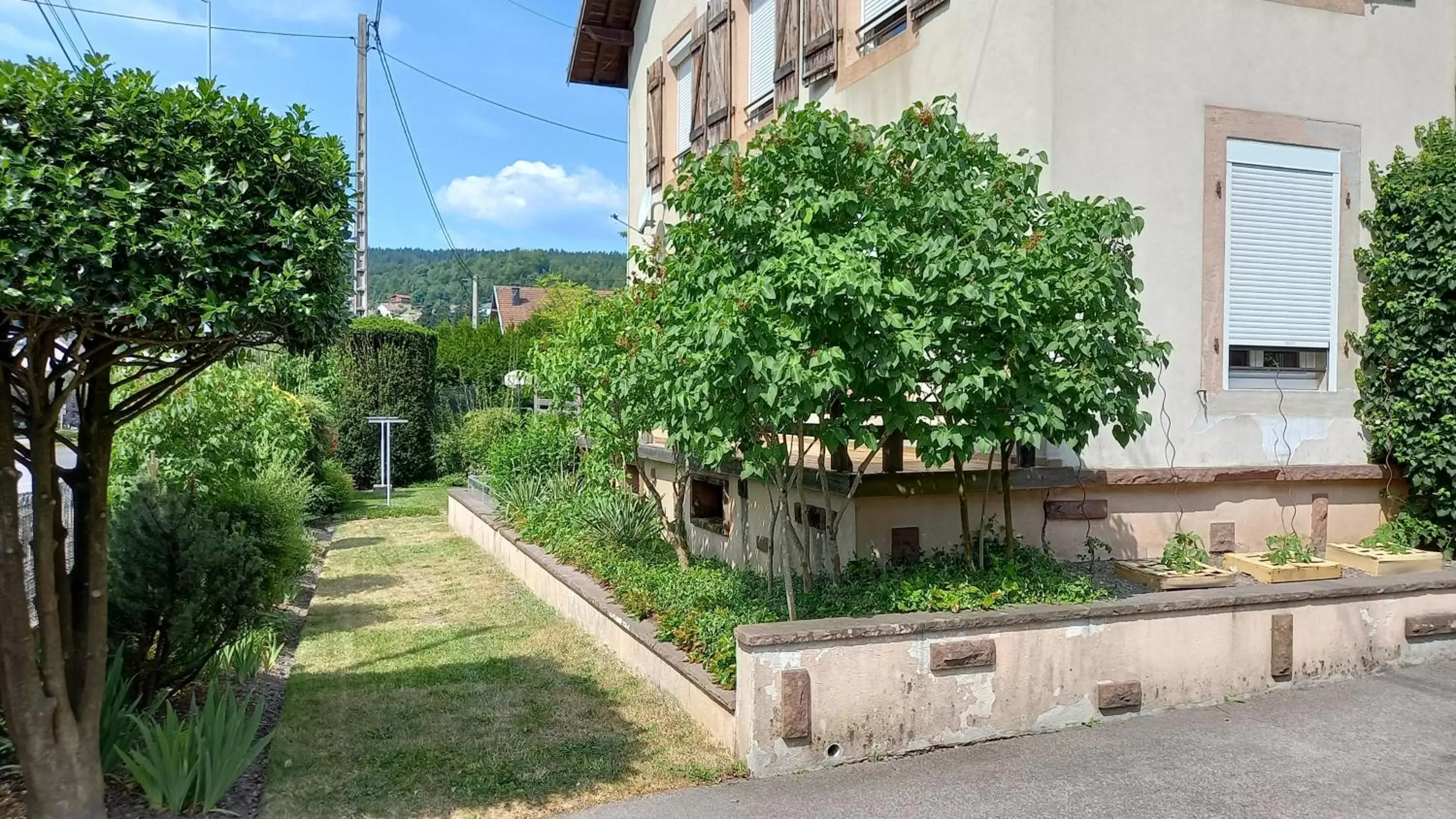 Property Building in Studio d'hôtes à 10 km de Gérardmer (Le Tholy)