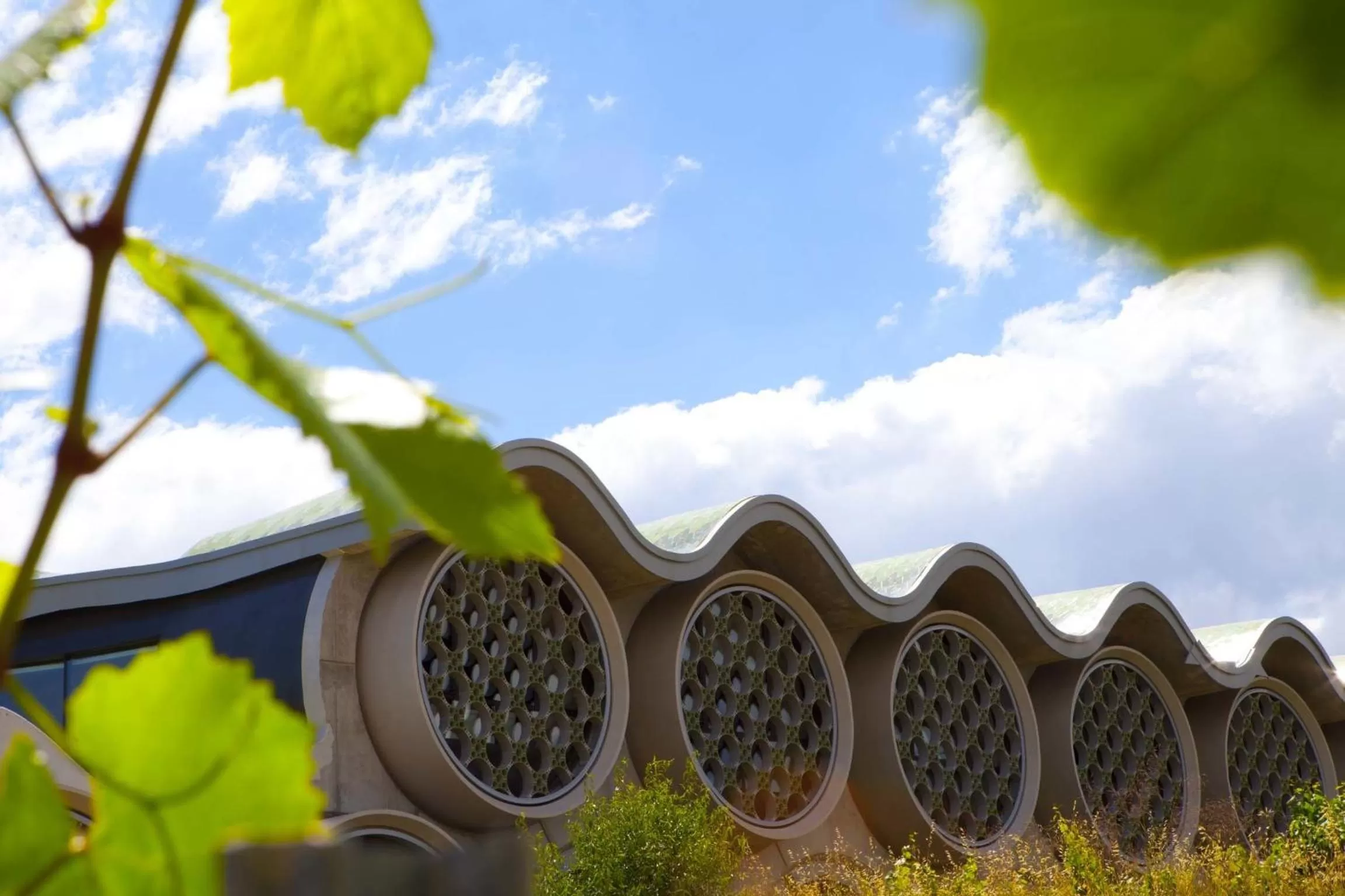 Bird's eye view in Mastinell Cava & Boutique Hotel by Olivia Hotels Collection