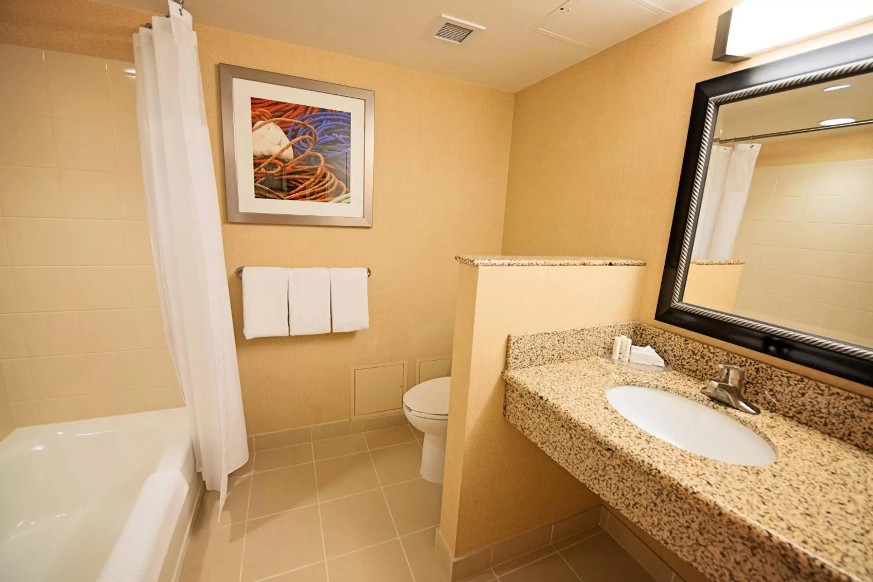 Bathroom in Courtyard by Marriott Halifax Downtown