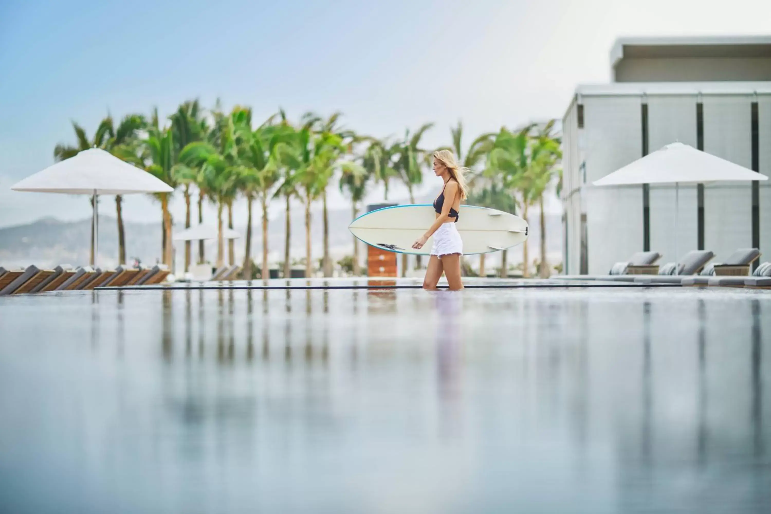 Activities, Swimming Pool in Viceroy Los Cabos