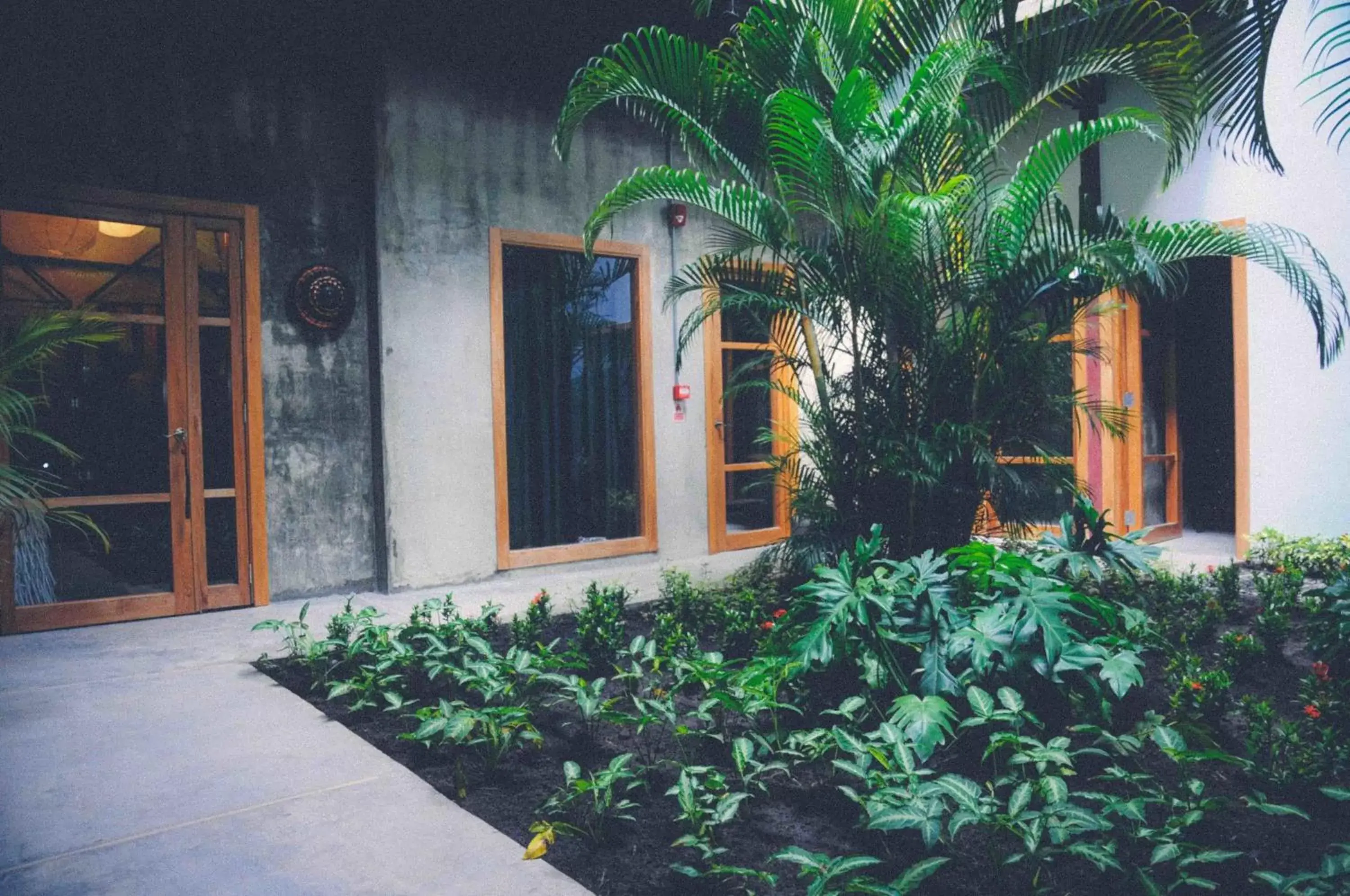 Patio in Hotel Casa Panama