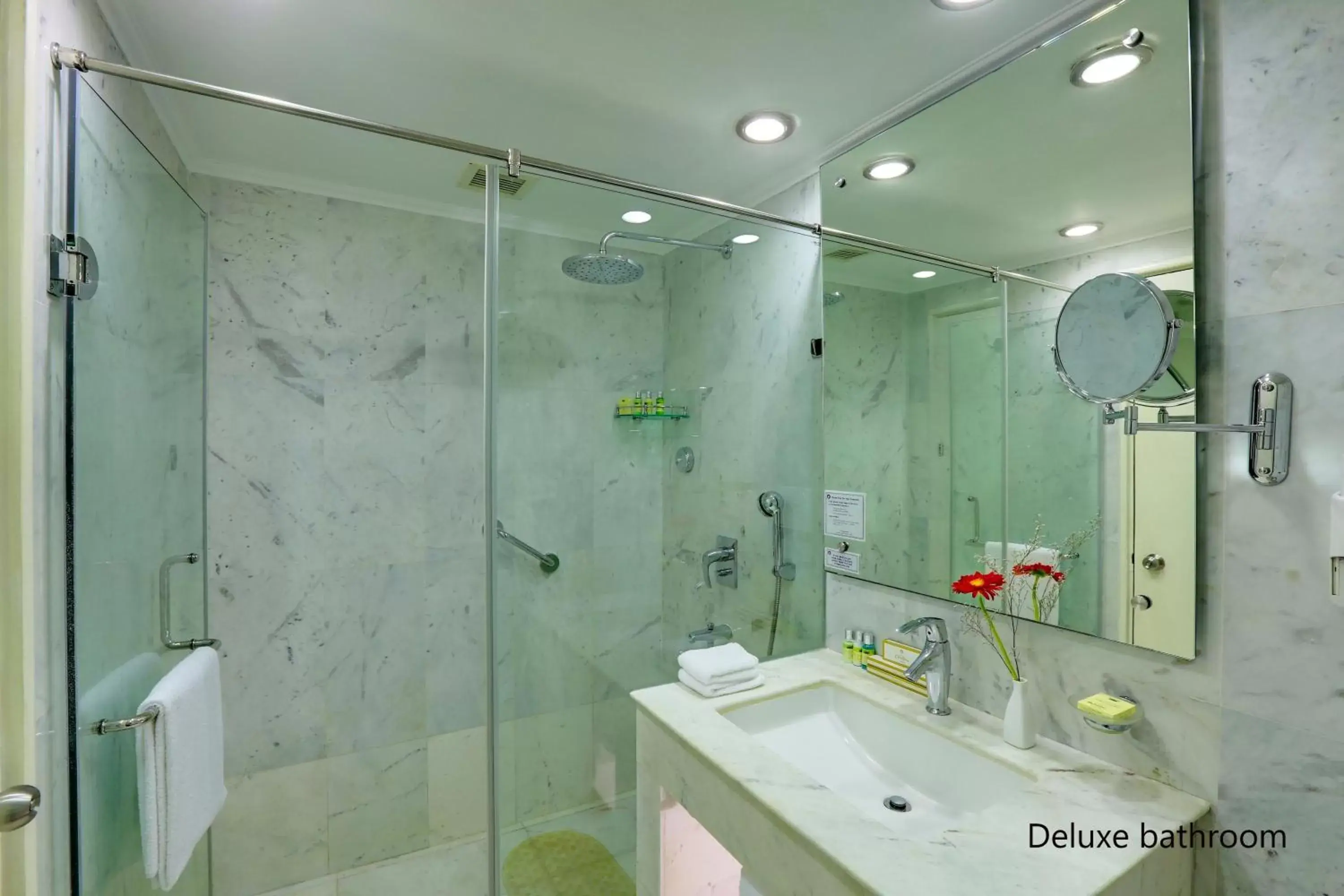 Bathroom in Hotel Clarks Shiraz