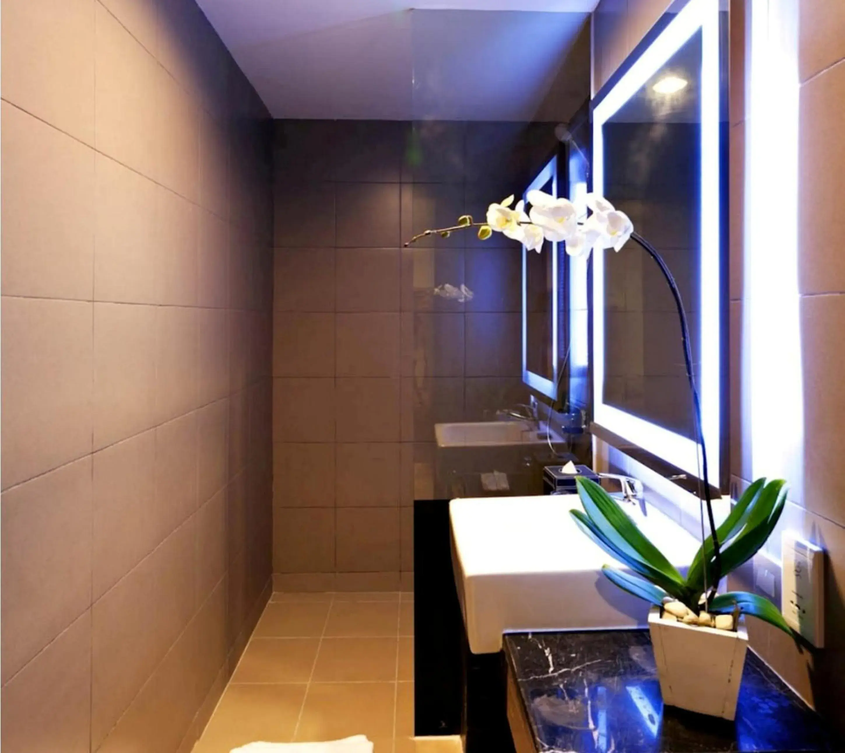 Bathroom in Euphoria Hotel