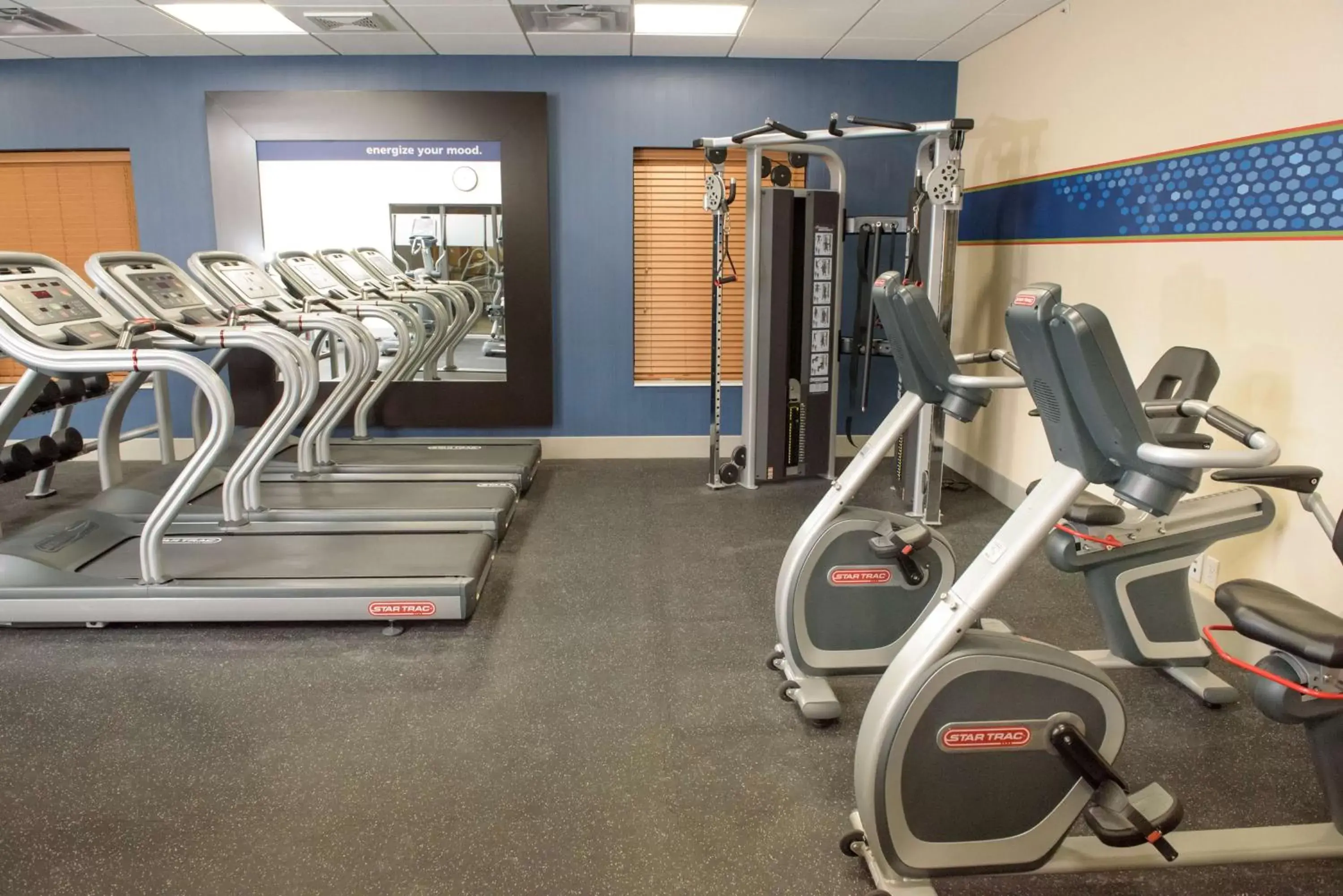 Fitness centre/facilities, Fitness Center/Facilities in Hampton Inn & Suites Bay City