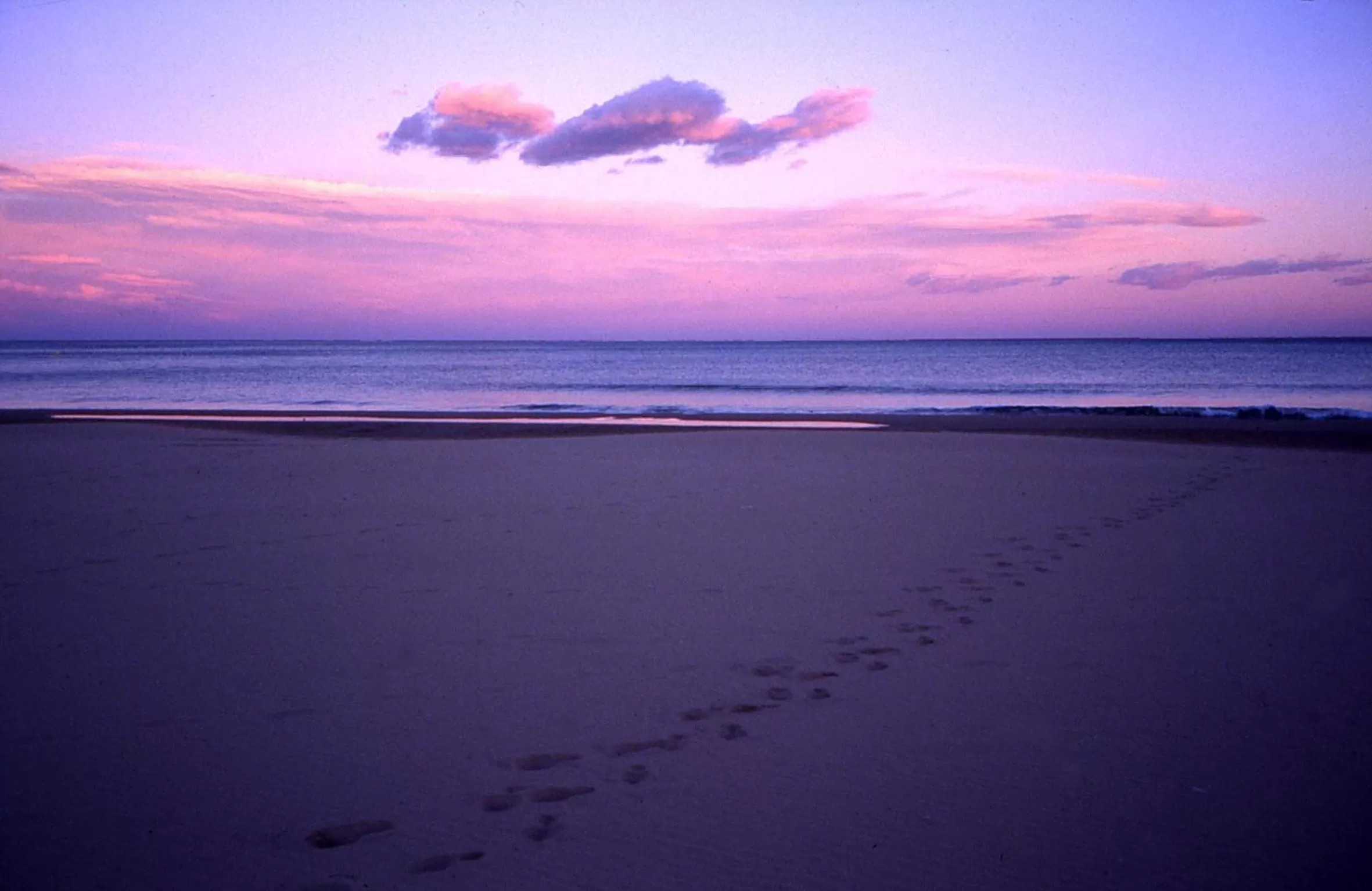 Area and facilities in Hotel Meridional