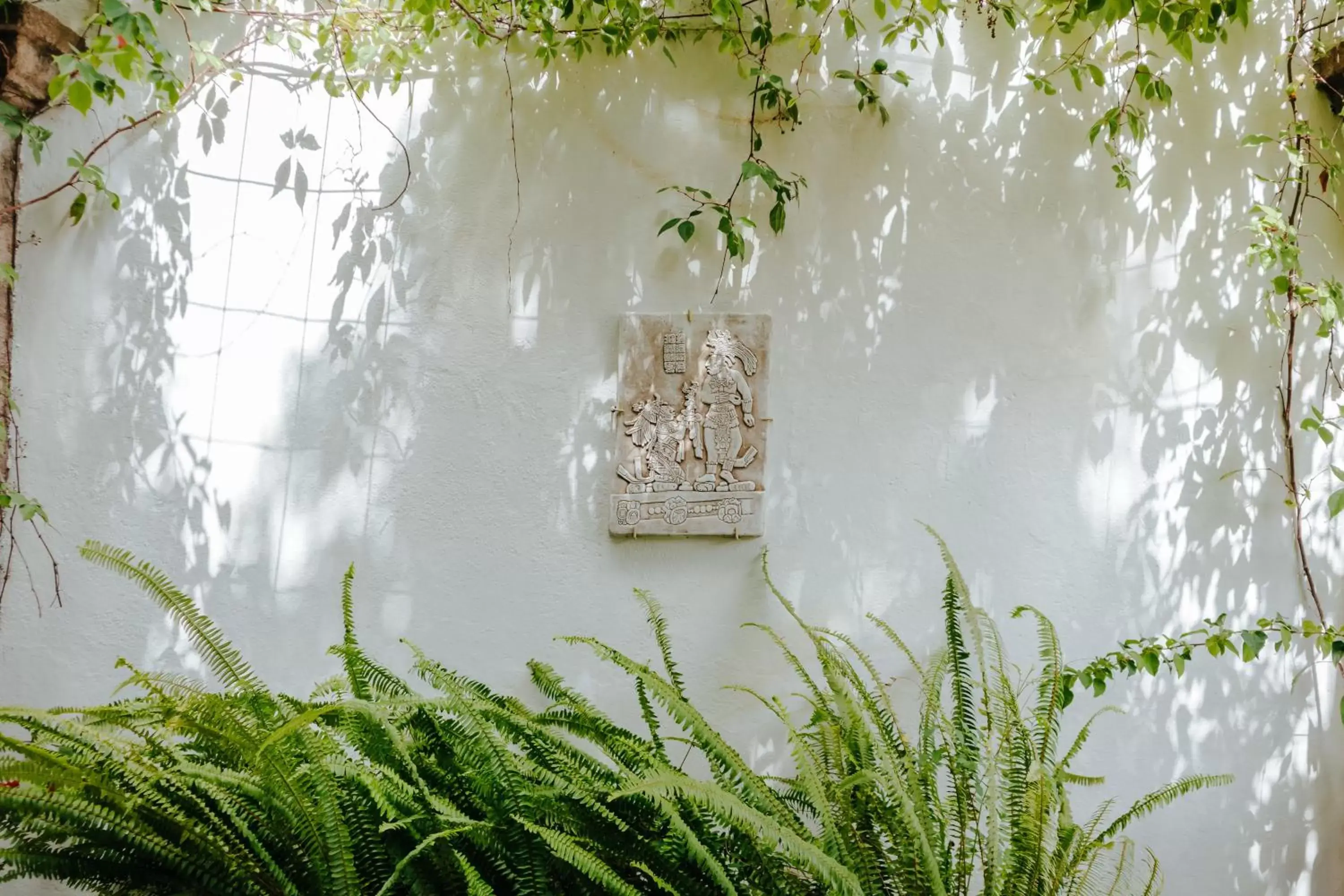 Garden in Casa Quetzal