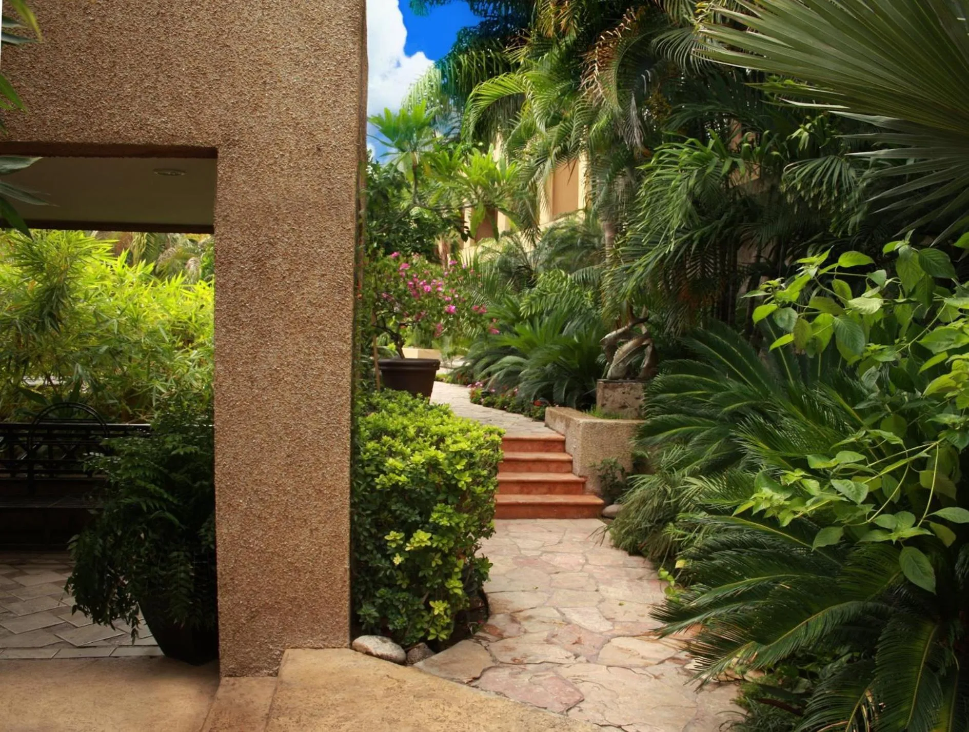 Day in Hotel San Luis Lindavista