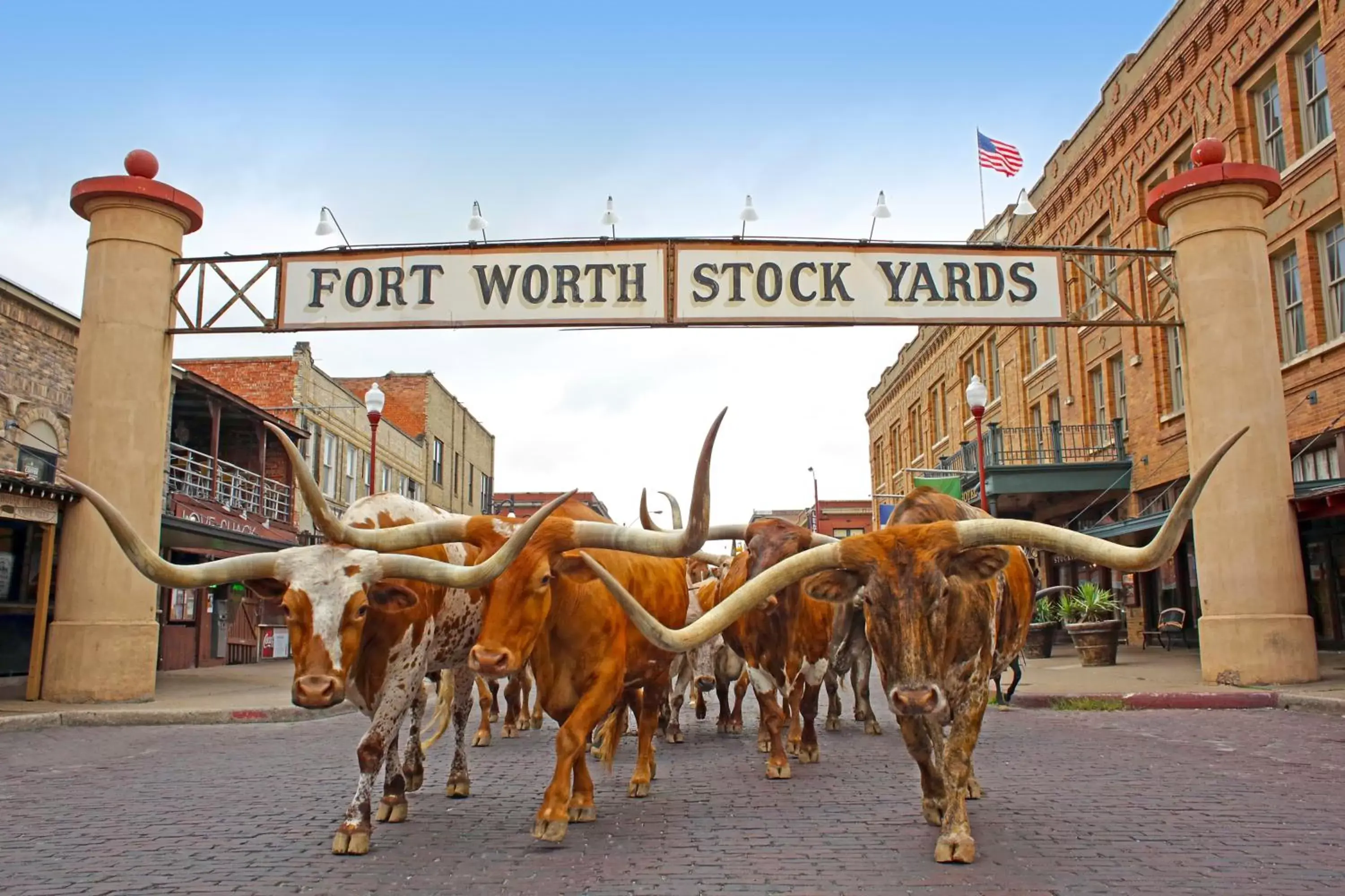 Nearby landmark in Radisson Hotel North Fort Worth Fossil Creek