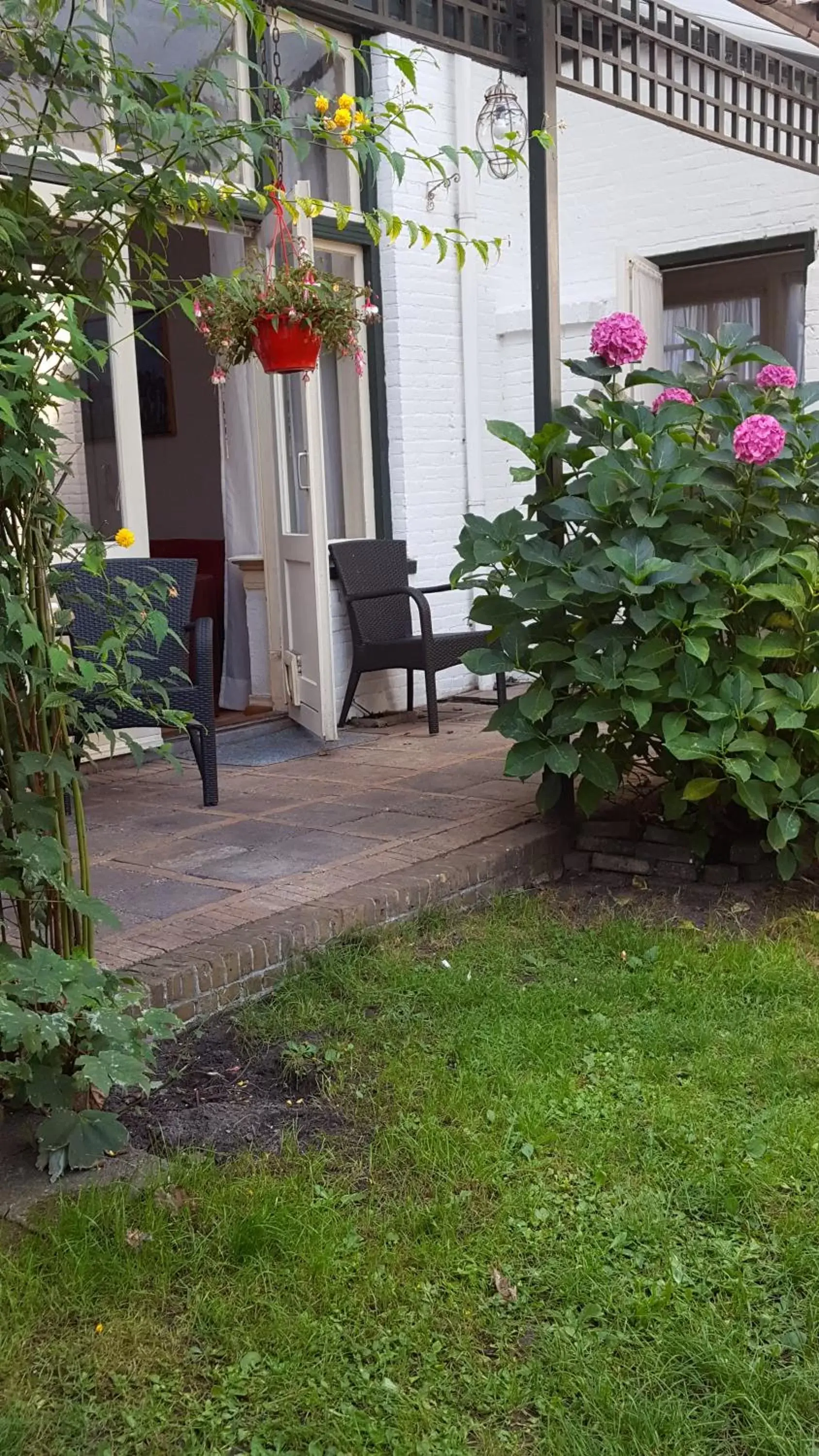 Garden, Patio/Outdoor Area in Hotel Kuiperduin