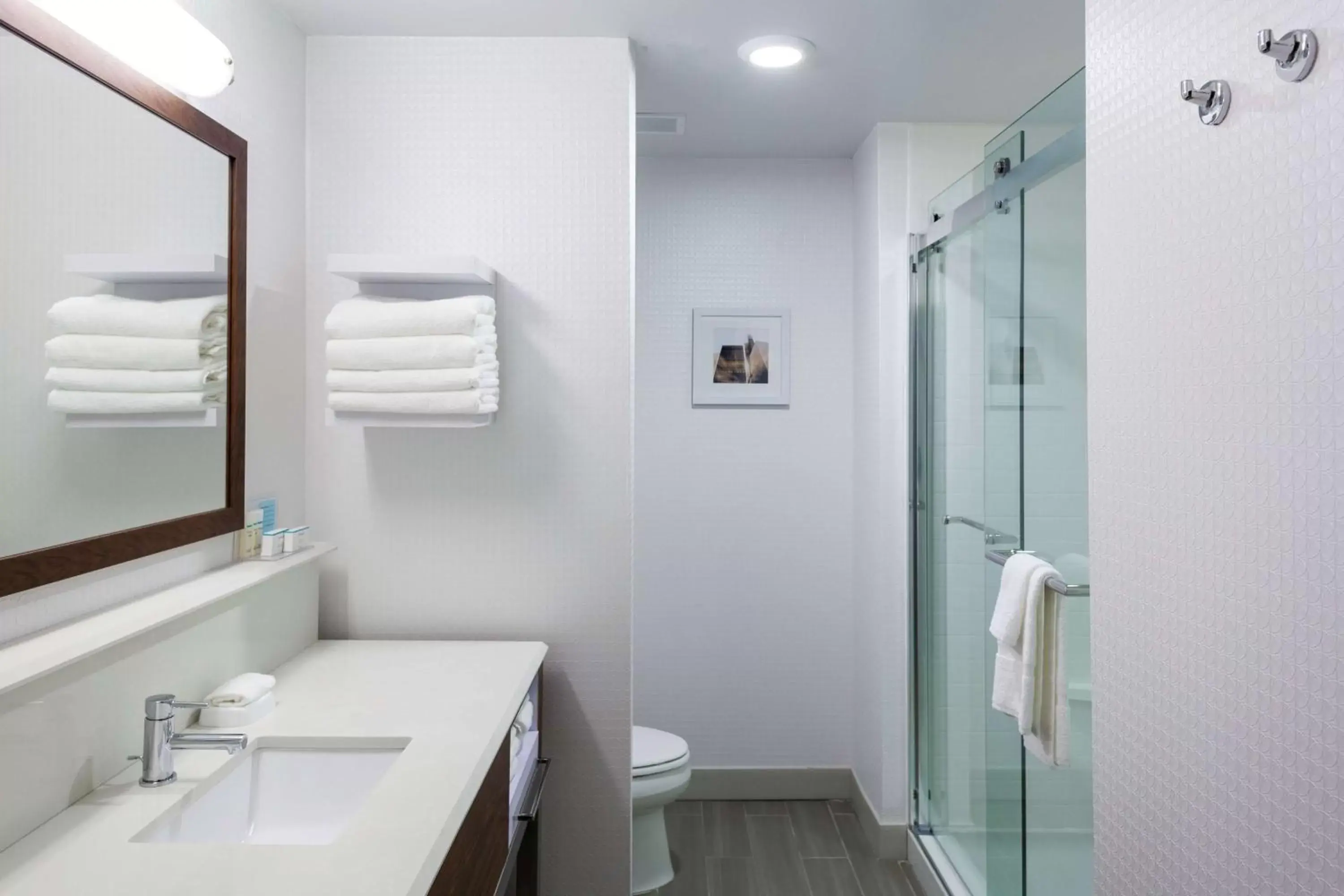Bathroom in Hampton Inn & Suites Chicago-Burr Ridge