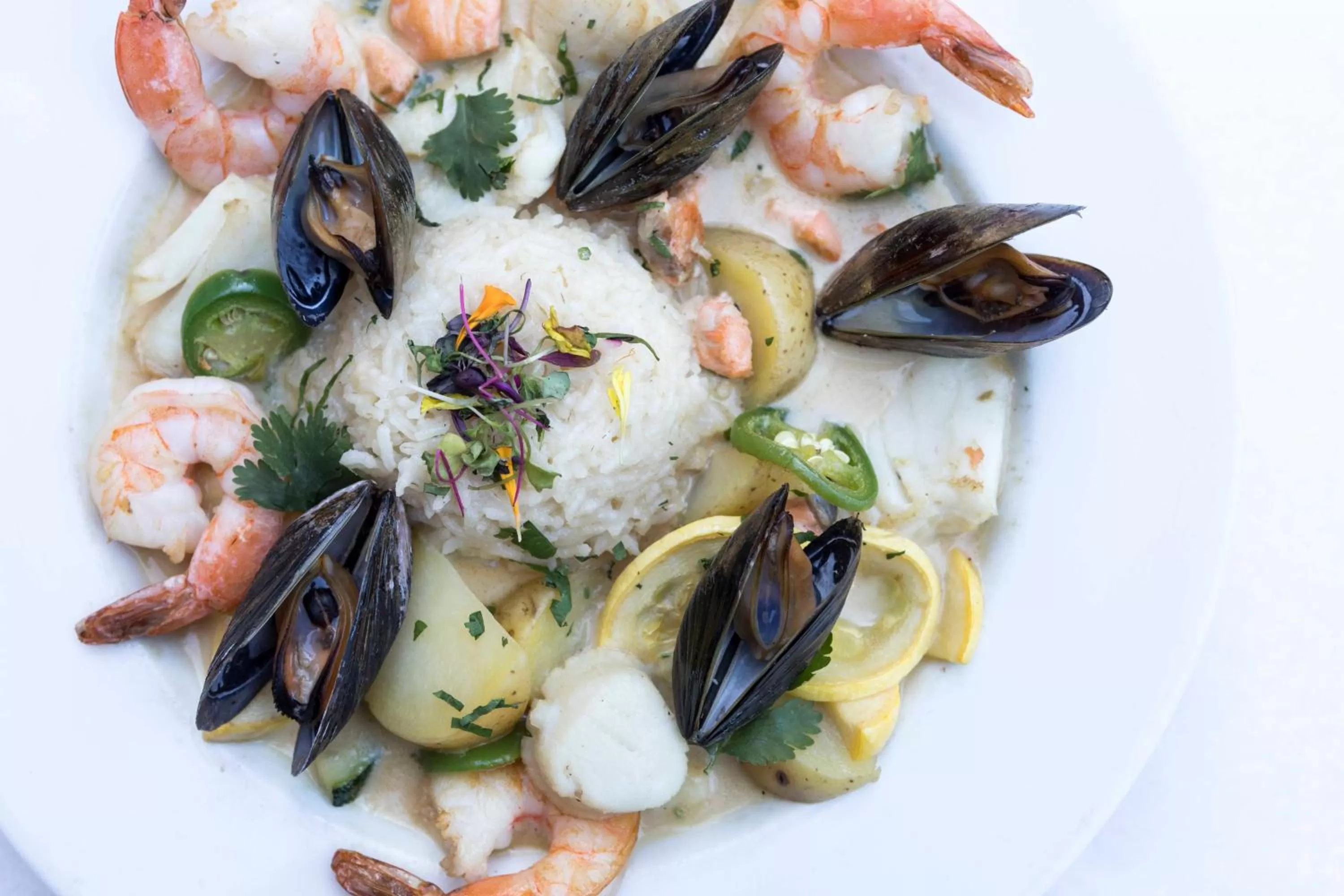 Food close-up, Food in Hotel Congress