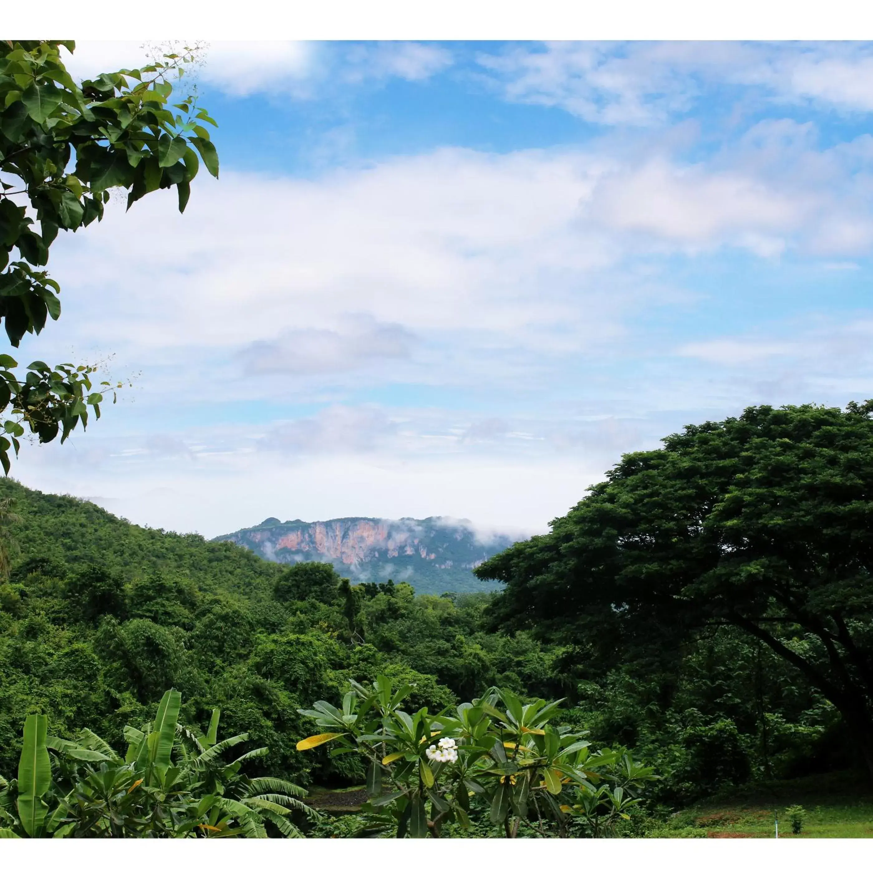 Natural landscape in Aekpailin River Kwai Resort