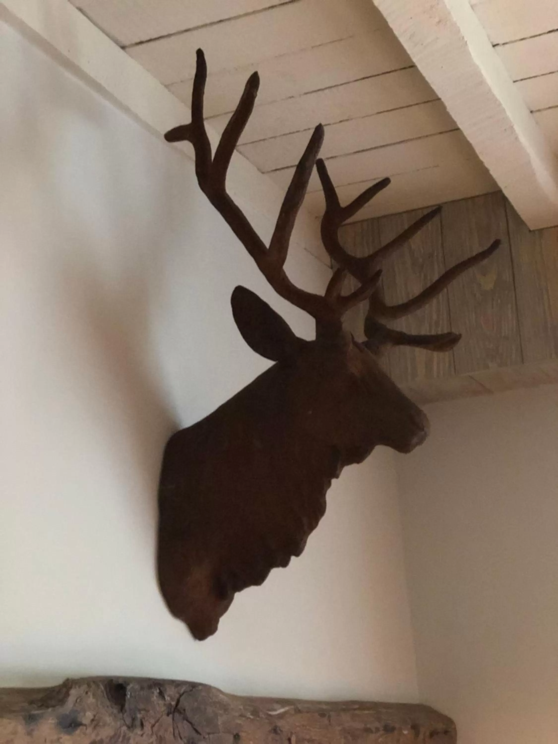 Decorative detail in B&B Le Nid d'Hirondelle