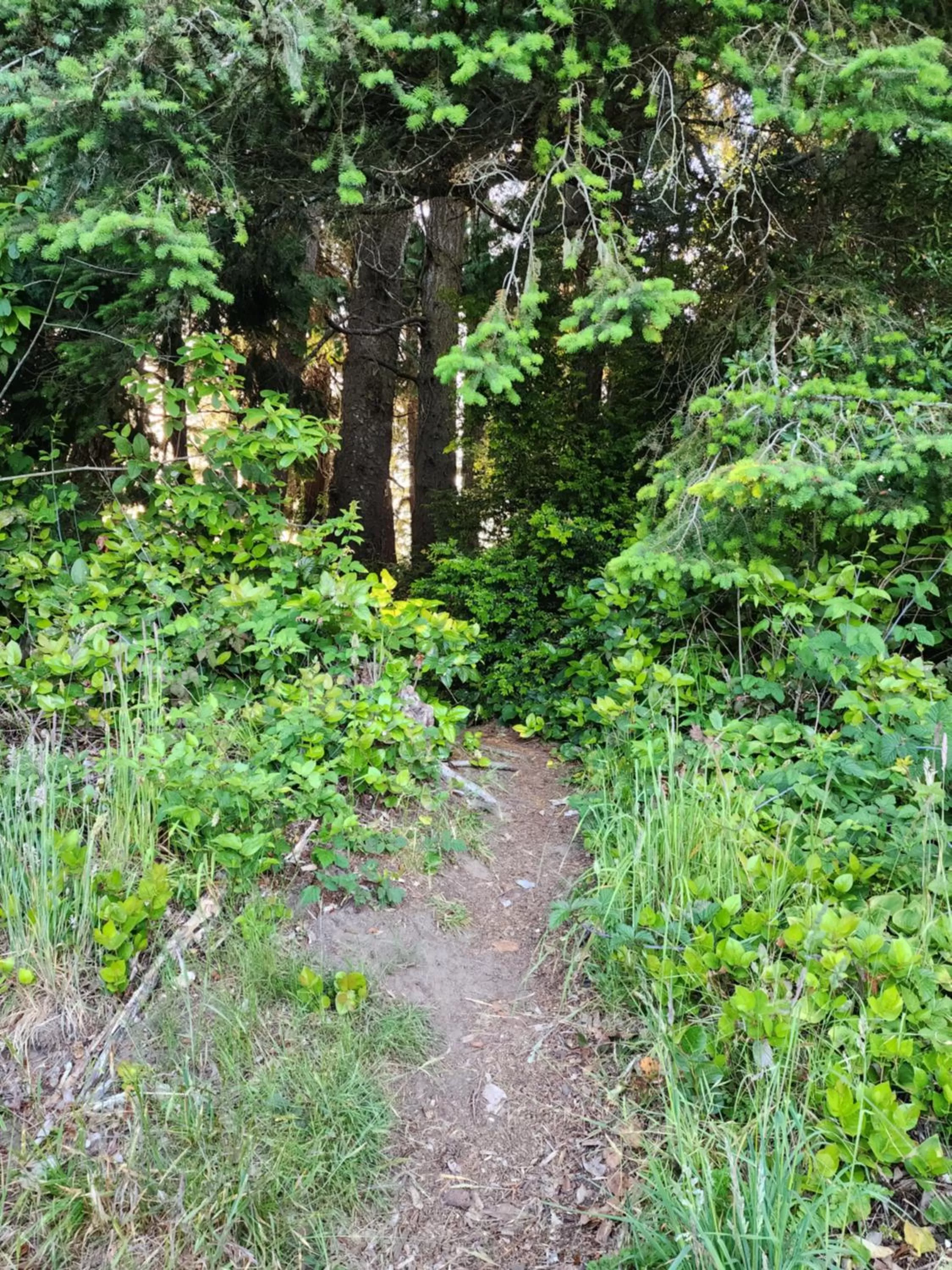Beach in Plainview Motel