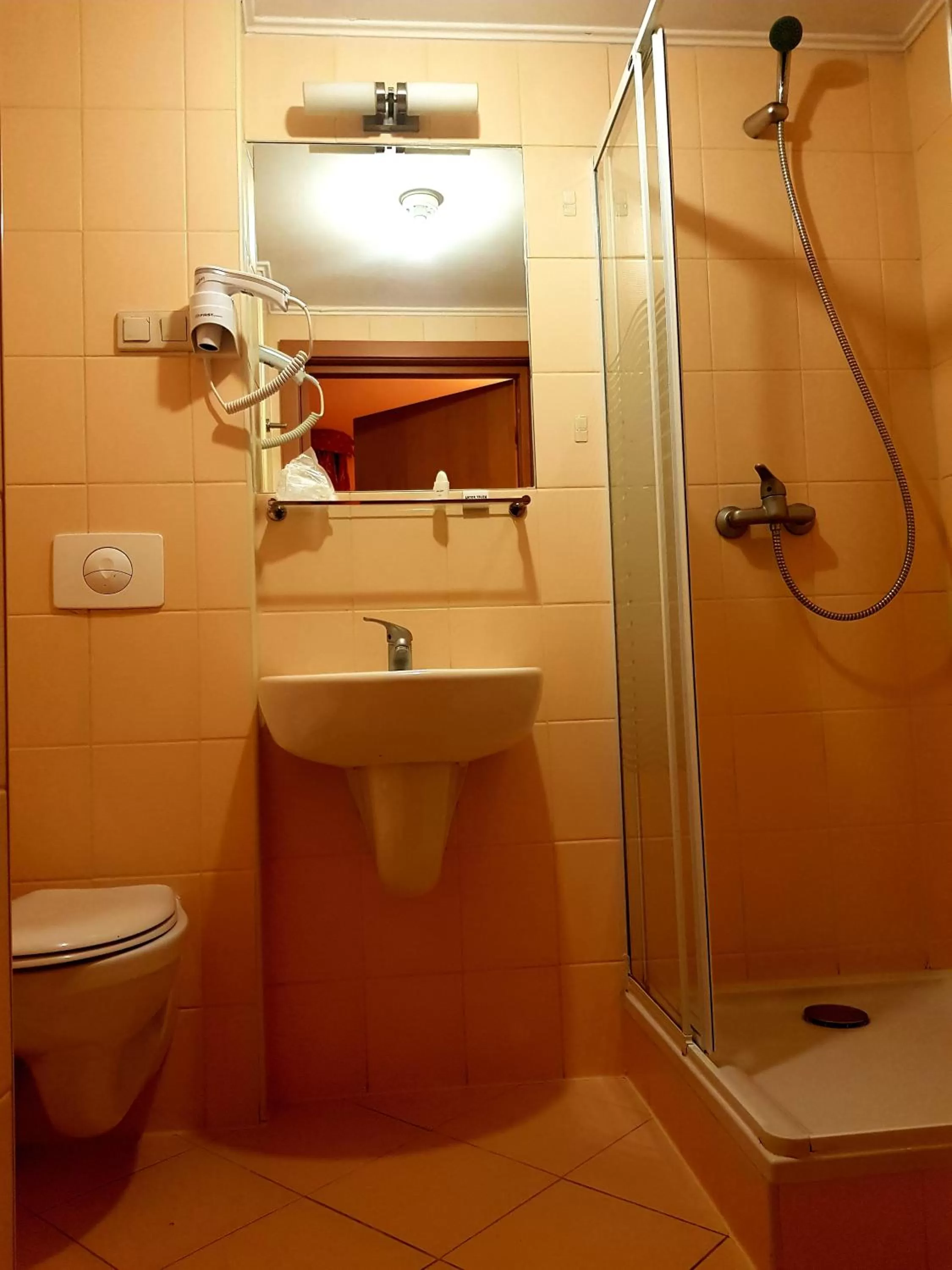 Small Single Room in Hotel Solny