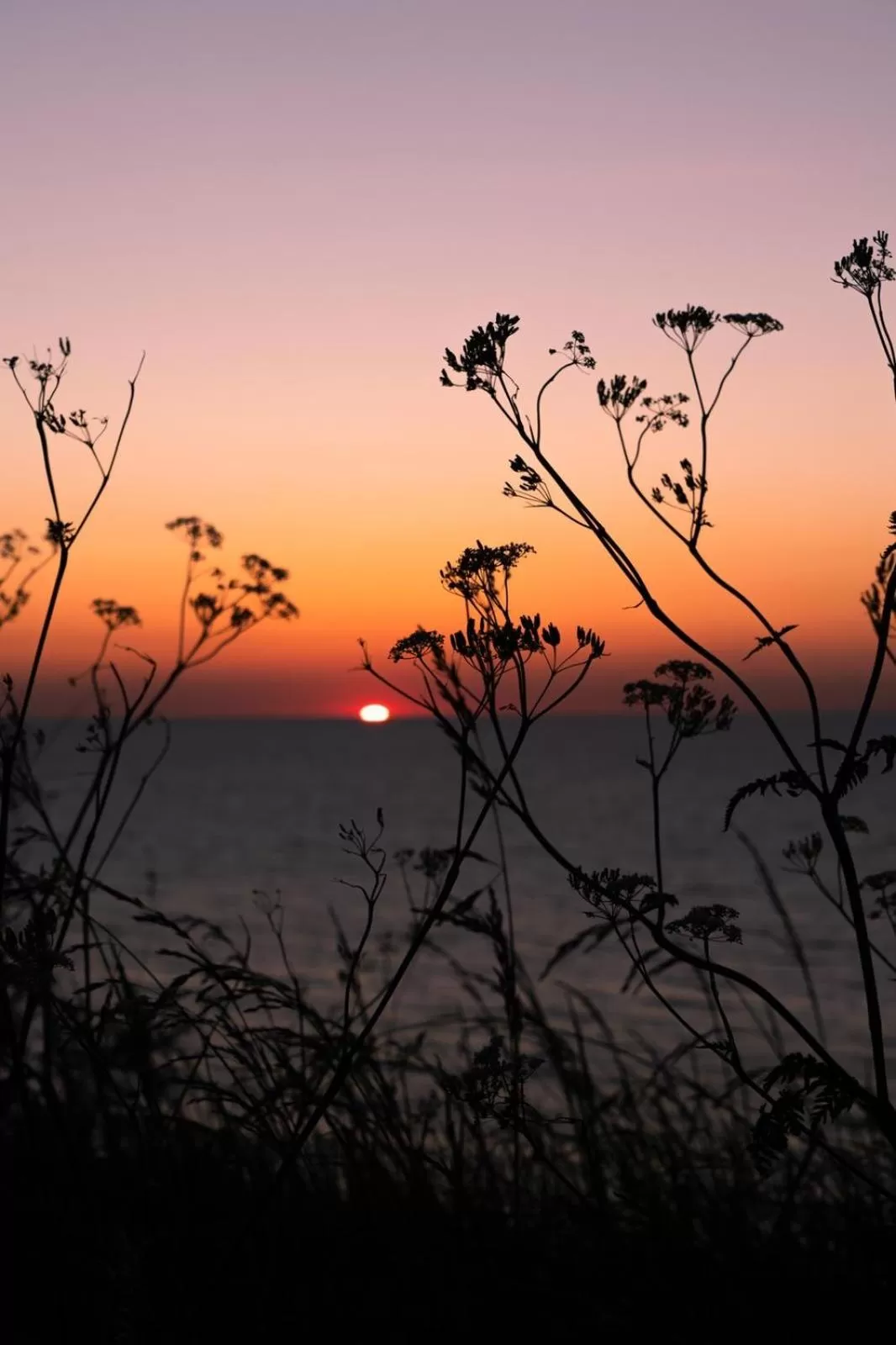 Sunset, Sunrise/Sunset in Brise du Large - Maison d'Ault