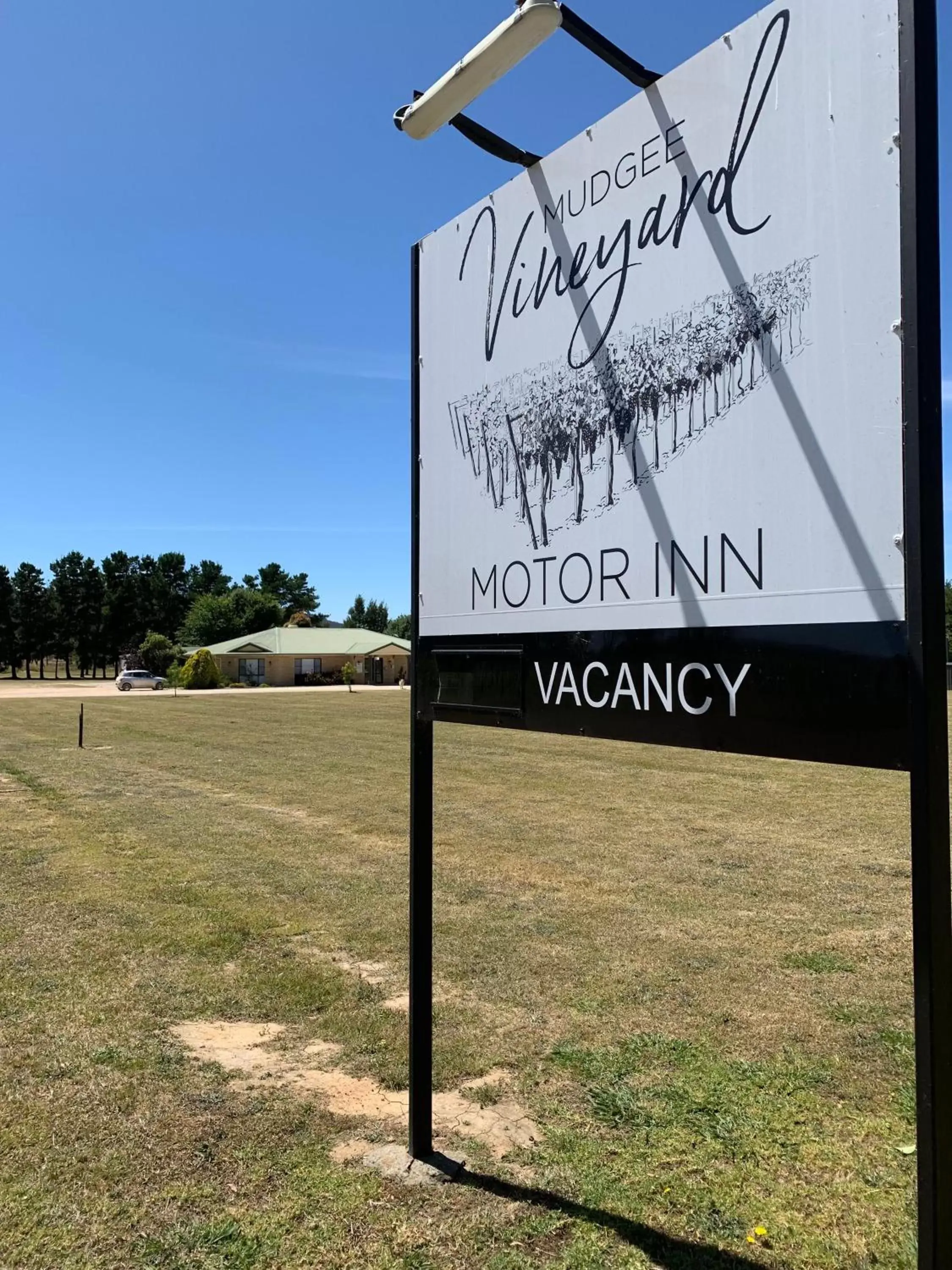 Property Logo/Sign in Mudgee Vineyard Motor Inn