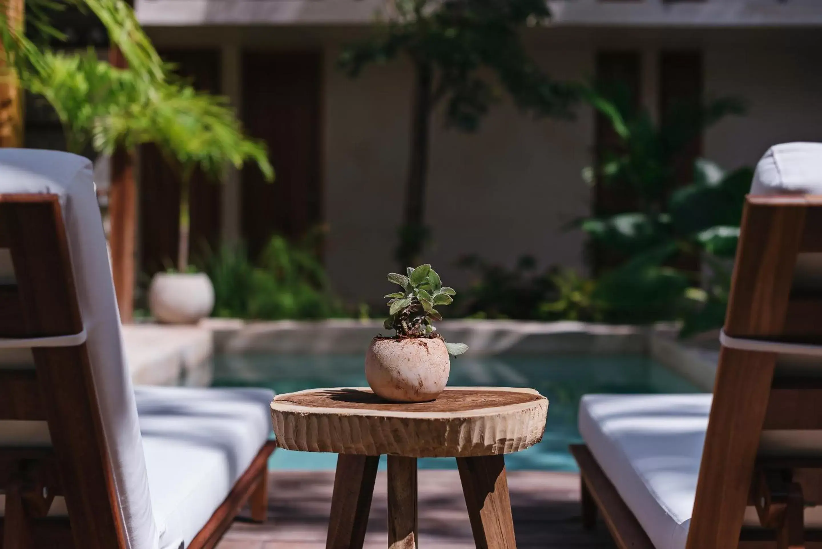 Swimming pool in Colonte Hotel Origen