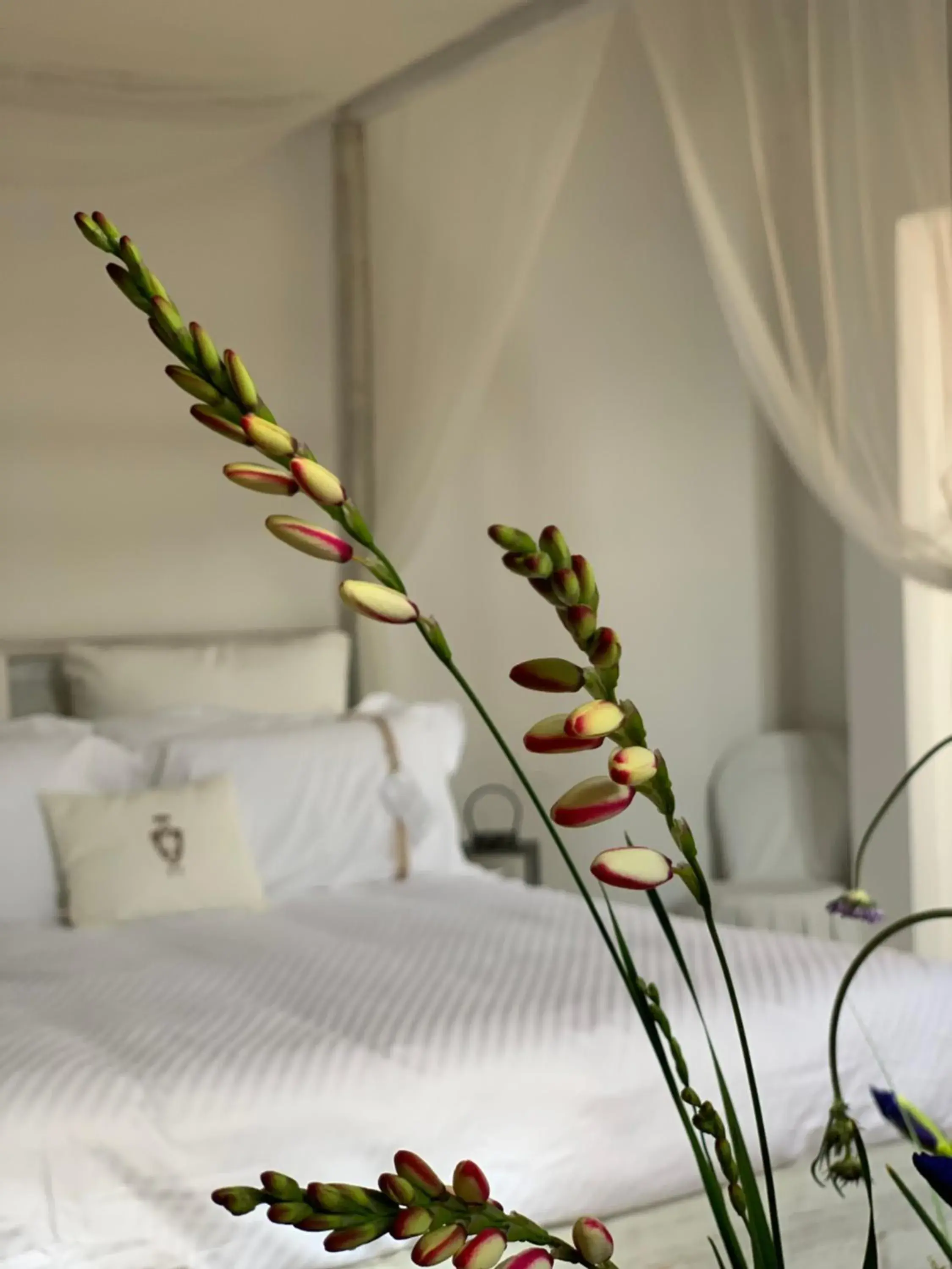 Decorative detail, Bed in Palazzo Castriota Decorative detail, Bed in Palazzo Castriota