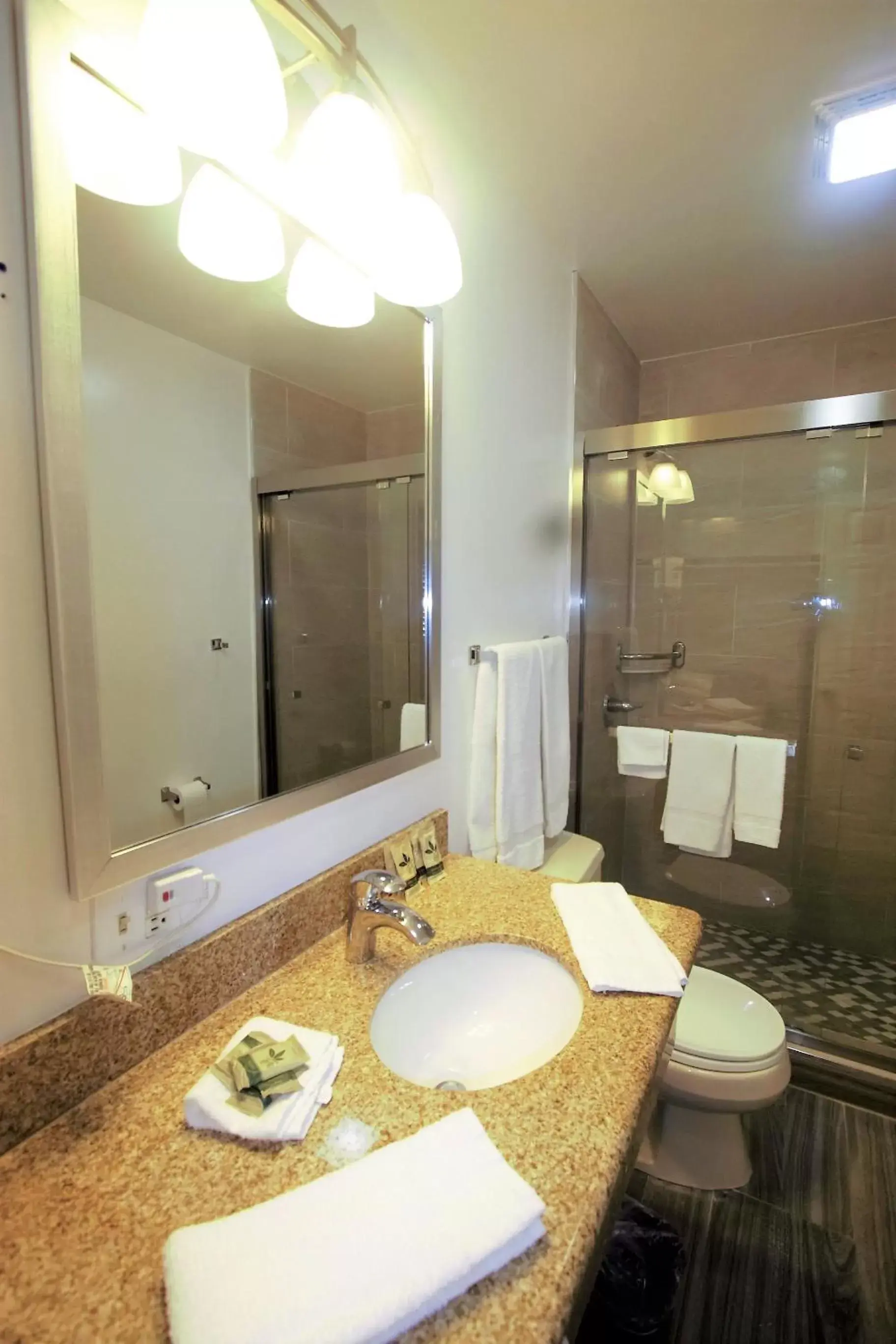 Bathroom in Alpha Inn and Suites