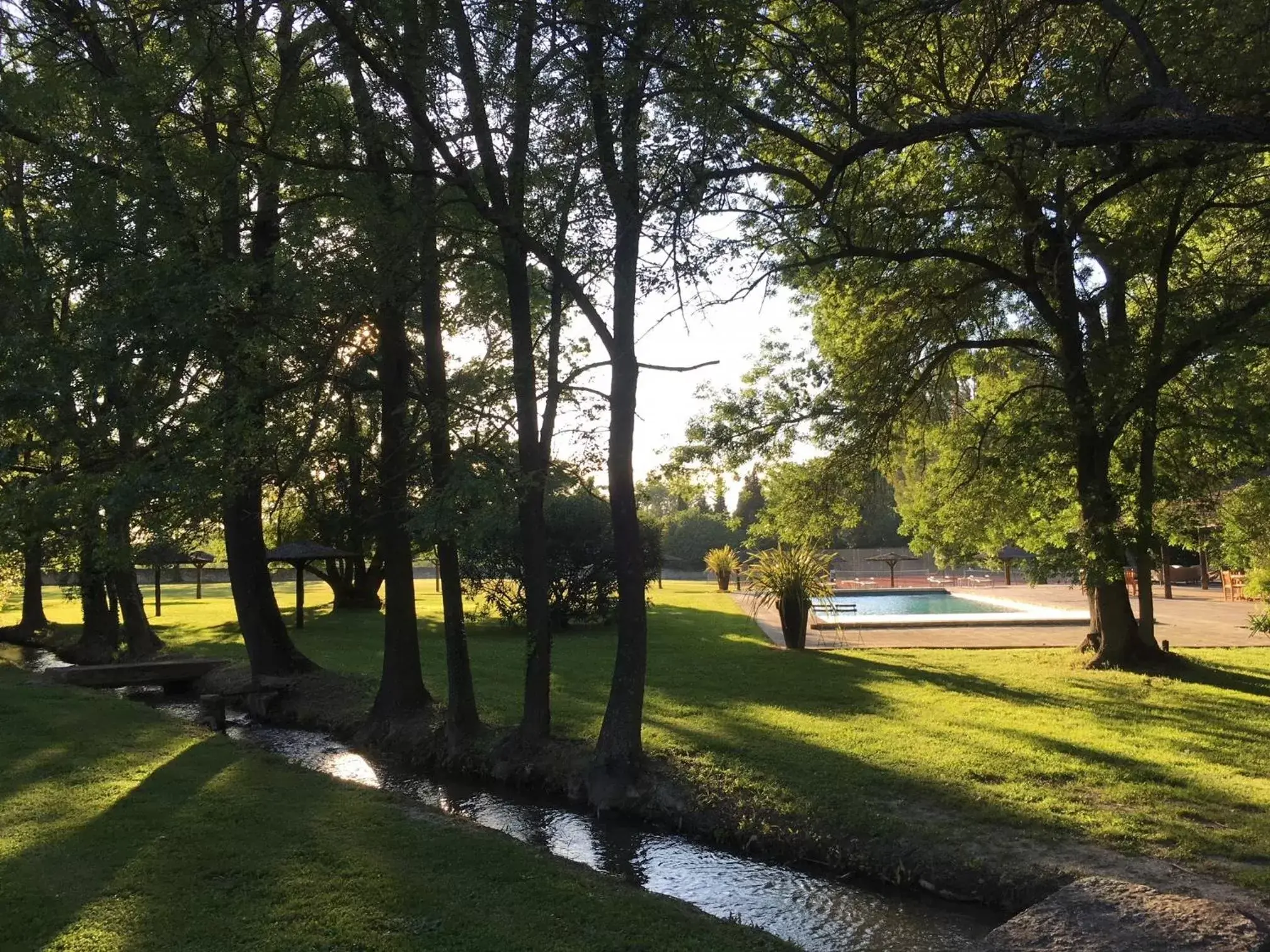 Garden in Hotel Château Des Alpilles