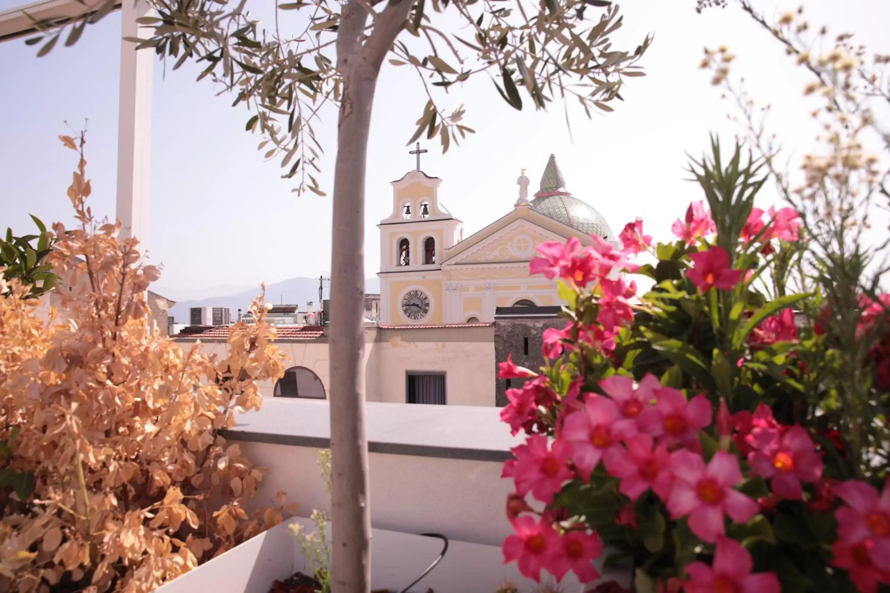 Balcony/Terrace in Palazzo Caracciolo del Sole