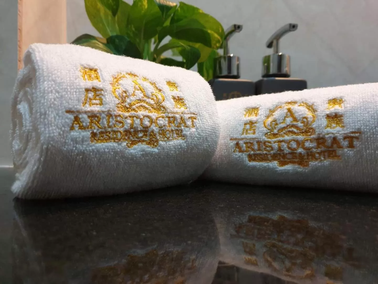 Property logo or sign in Aristocrat Residence & Hotel