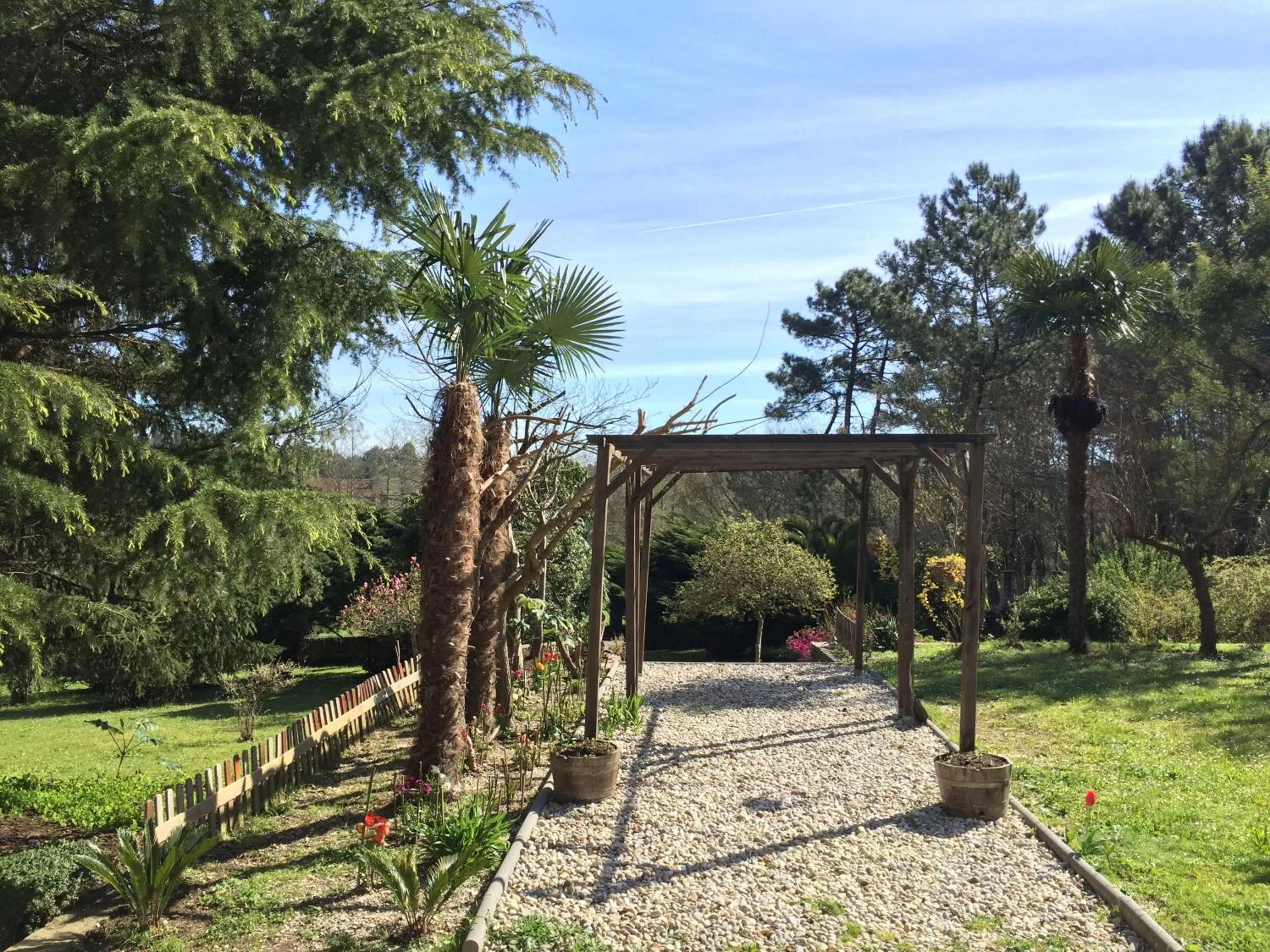 Garden view in Agro da Gandarela