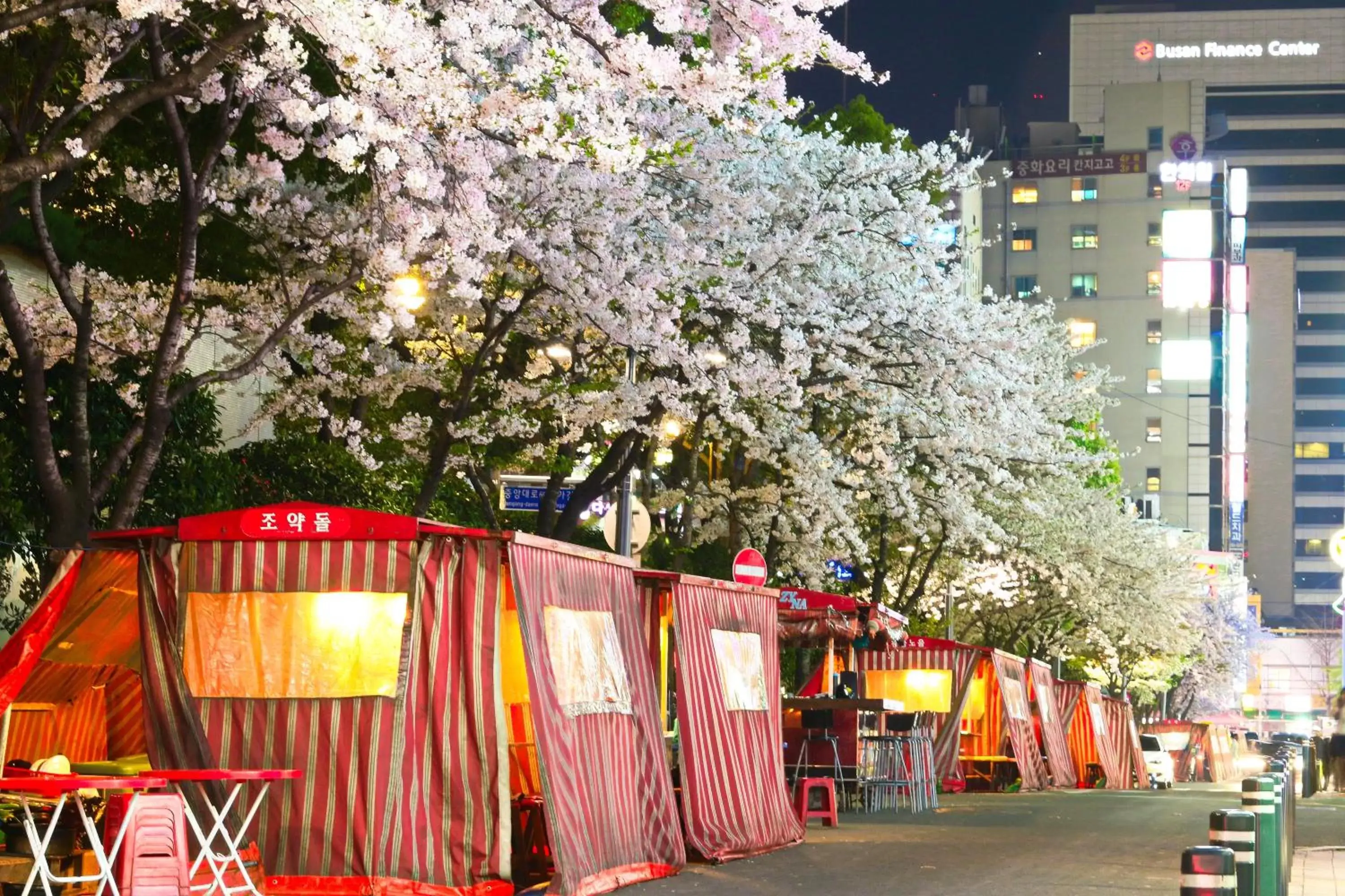 Activities, Property Building in Lotte Hotel Busan