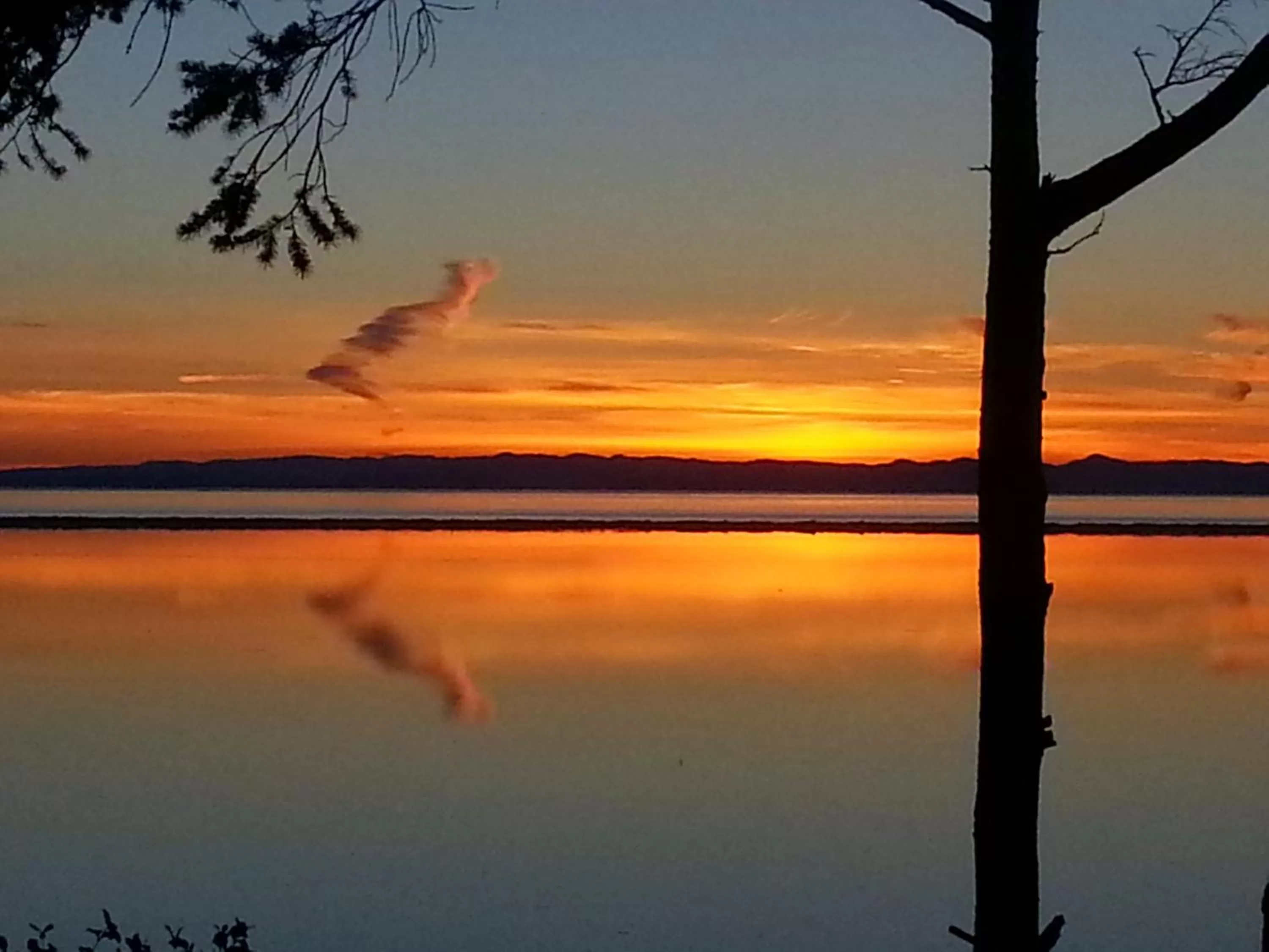 Balcony/Terrace in Greenhouse Inn by the Bay