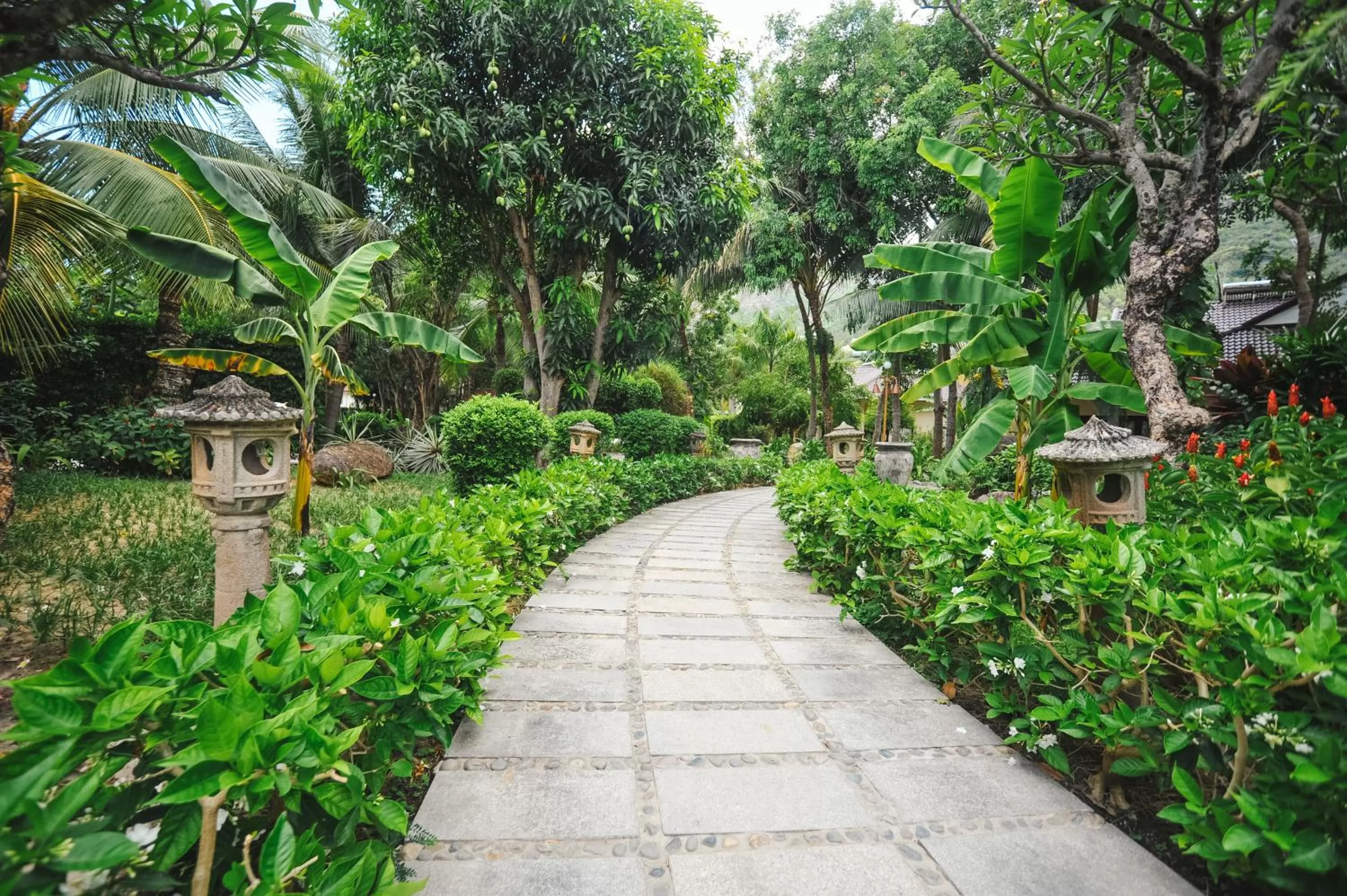Garden in Diamond Bay Resort & Spa