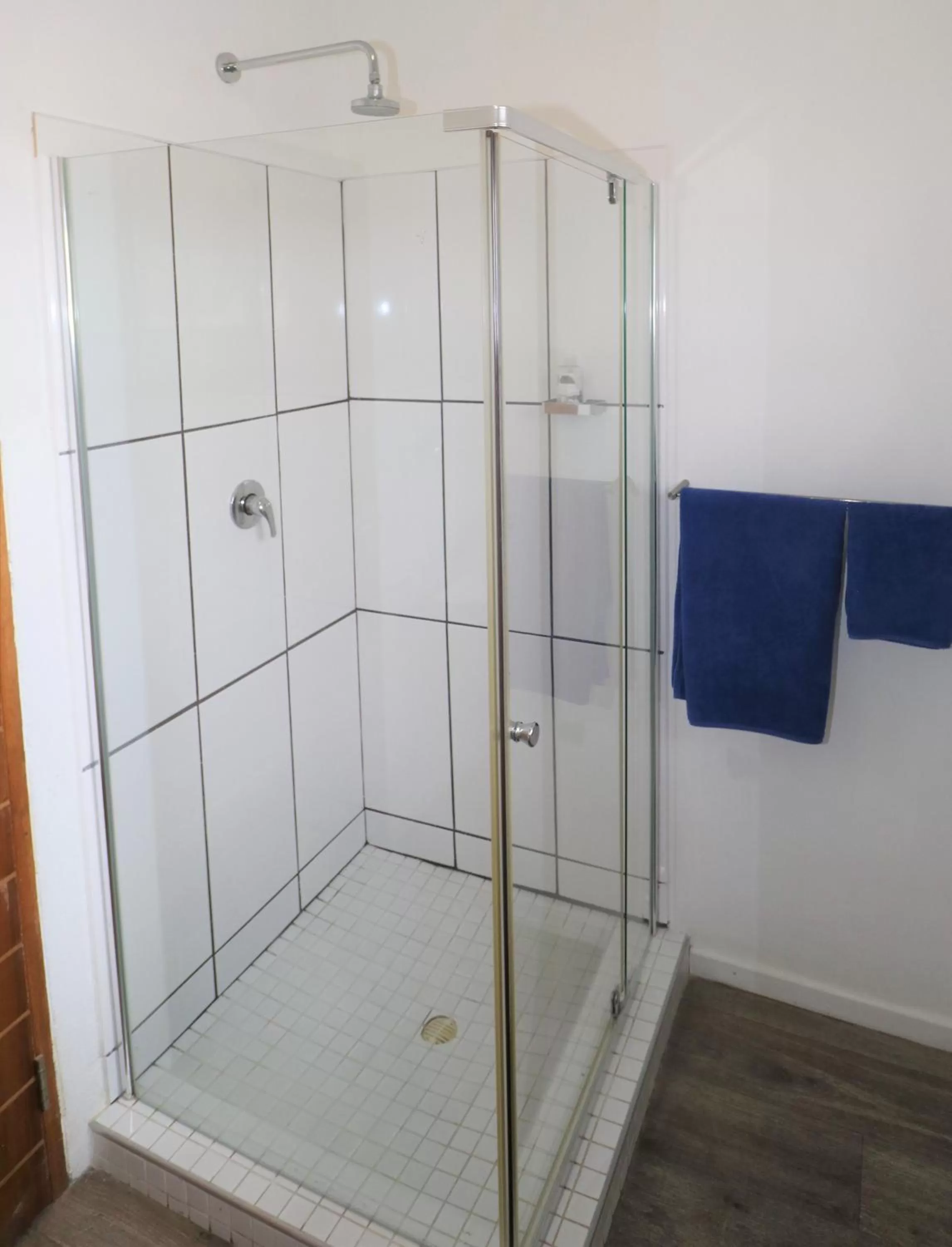 Shower, Bathroom in Tiende Laan Bed & Breakfast and Self-Catering