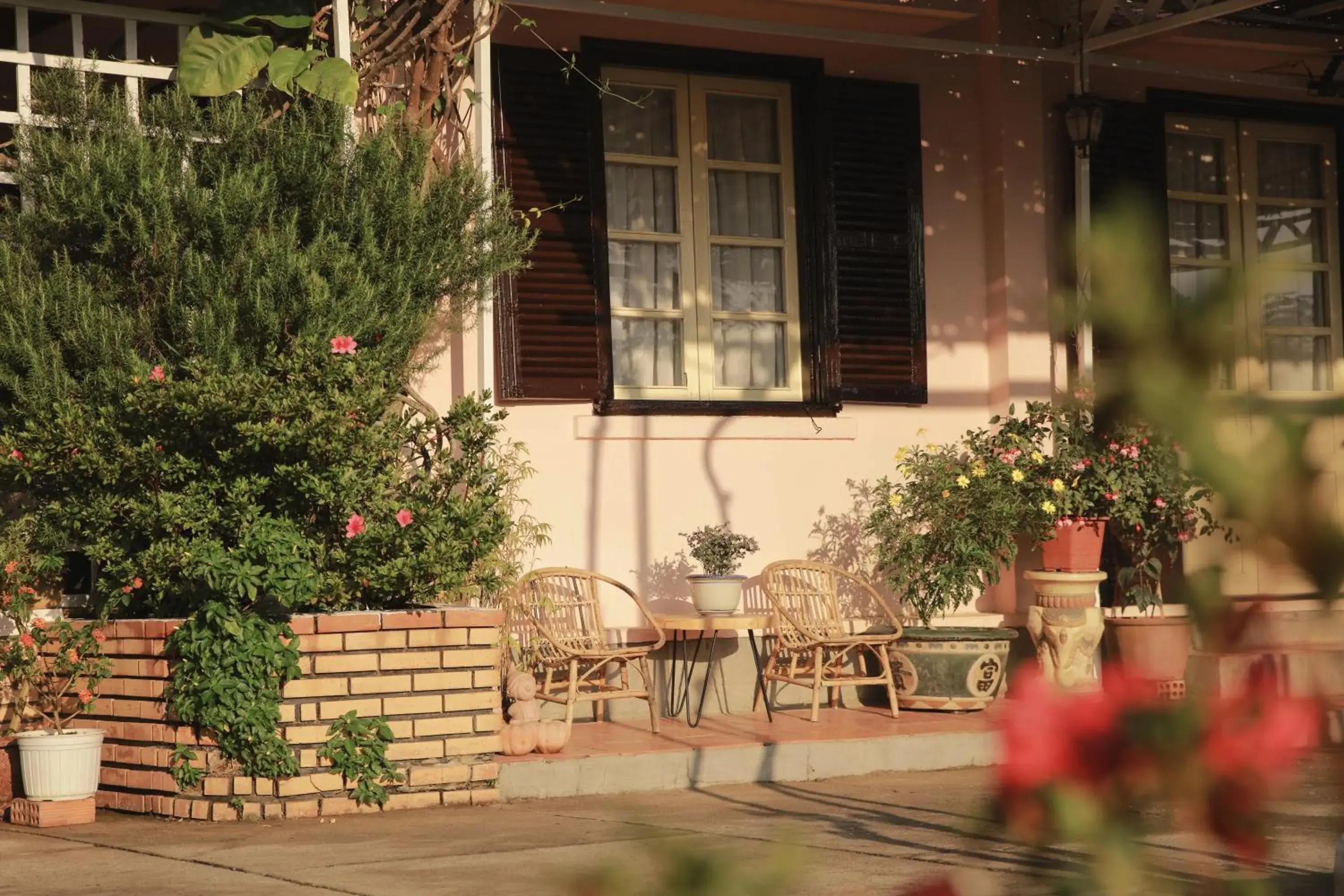 Dalat Terrasse Des Roses Villa