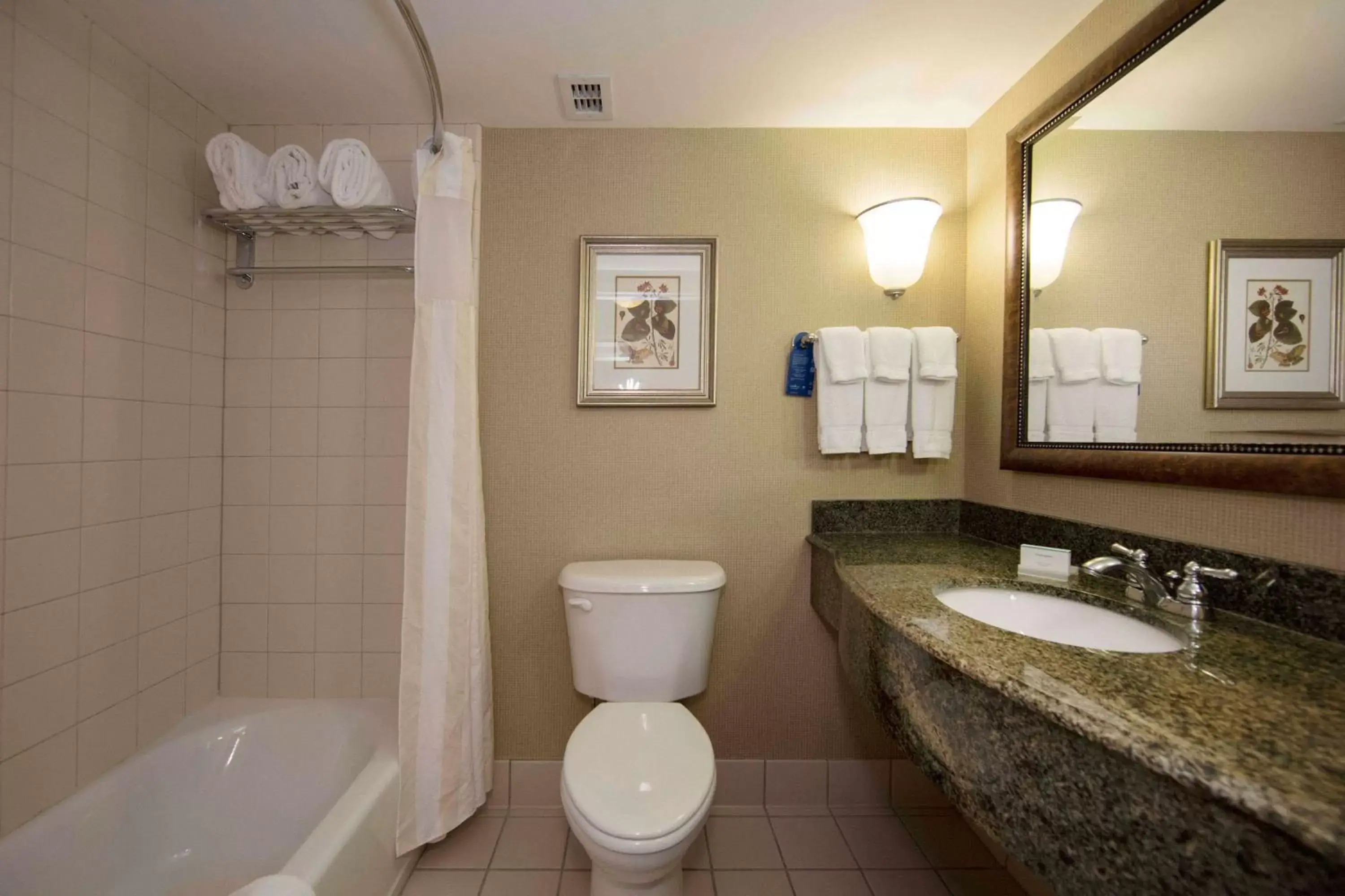 Shower, Bathroom in Hilton Garden Inn Athens Downtown