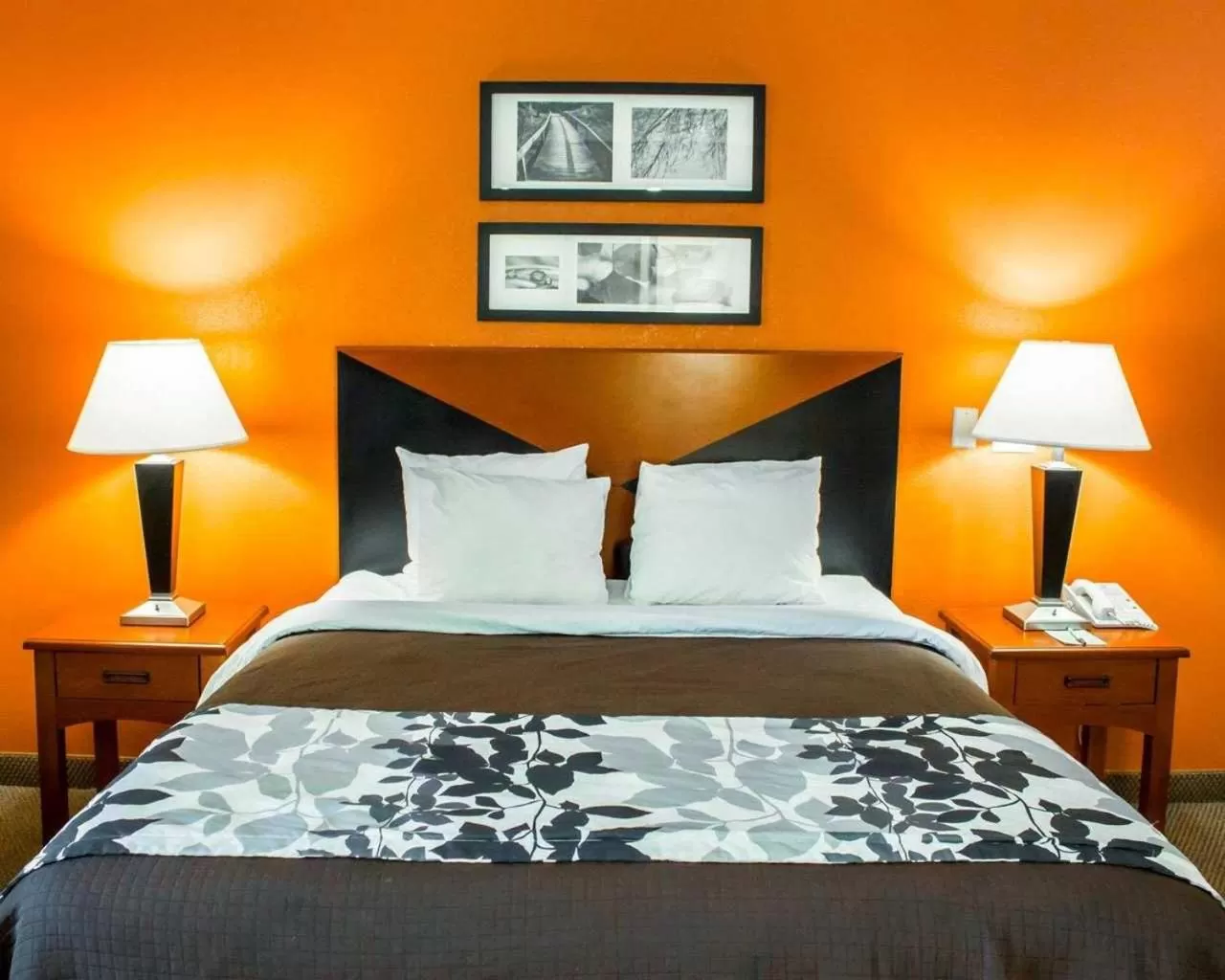 King Room - Non-Smoking in Sleep Inn Mt Pleasant - Charleston