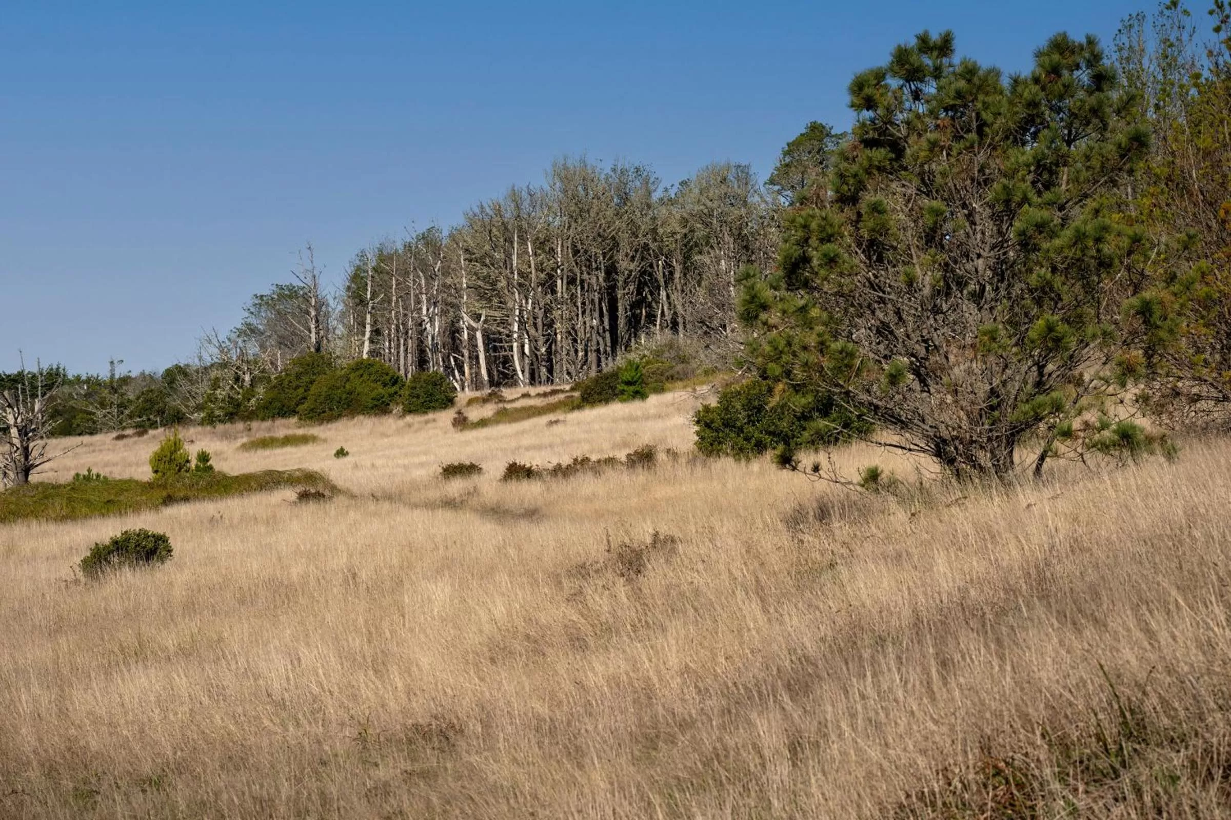 Area and facilities in Wharf Master's Inn