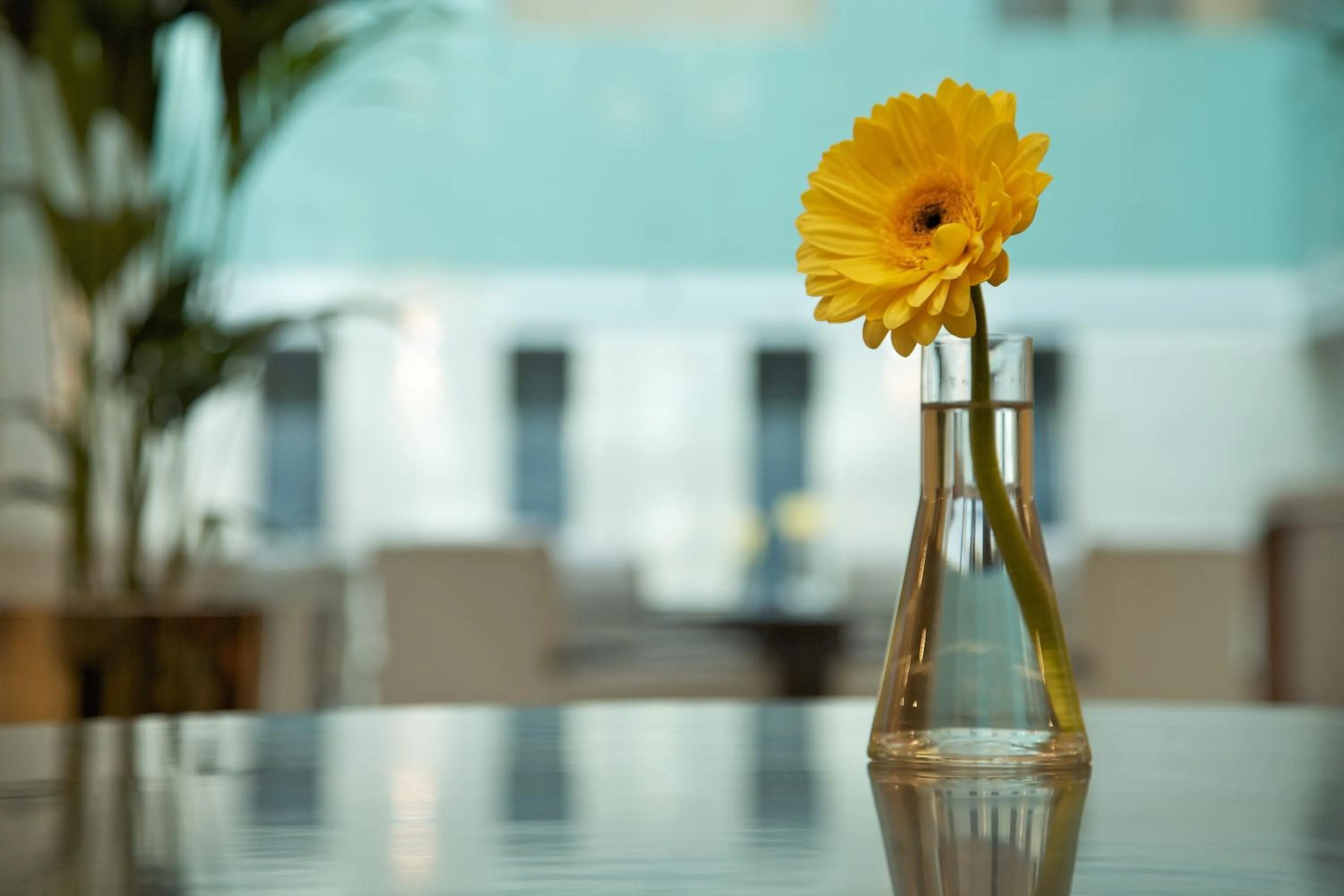 Other in Millennium Executive Apartments Muscat