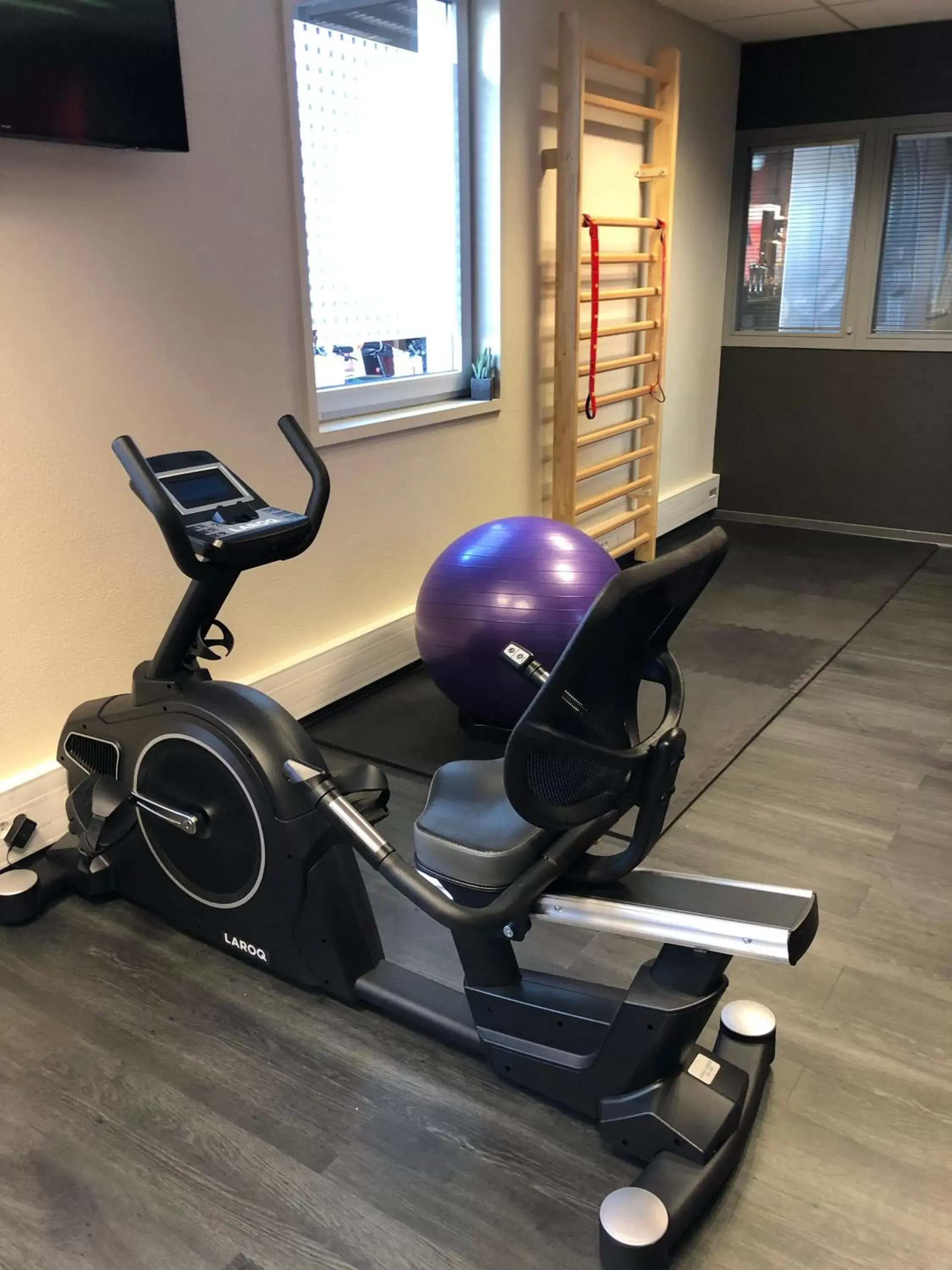 Fitness centre/facilities, Fitness Center/Facilities in Ibis Saint-Genis-Pouilly Genève