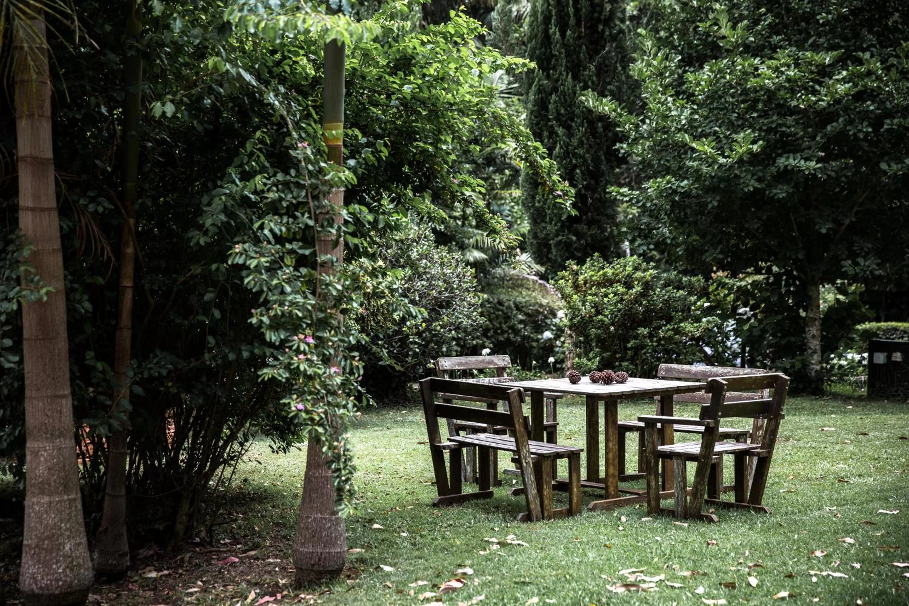 Garden in Tall Trees Motel Mountain Retreat