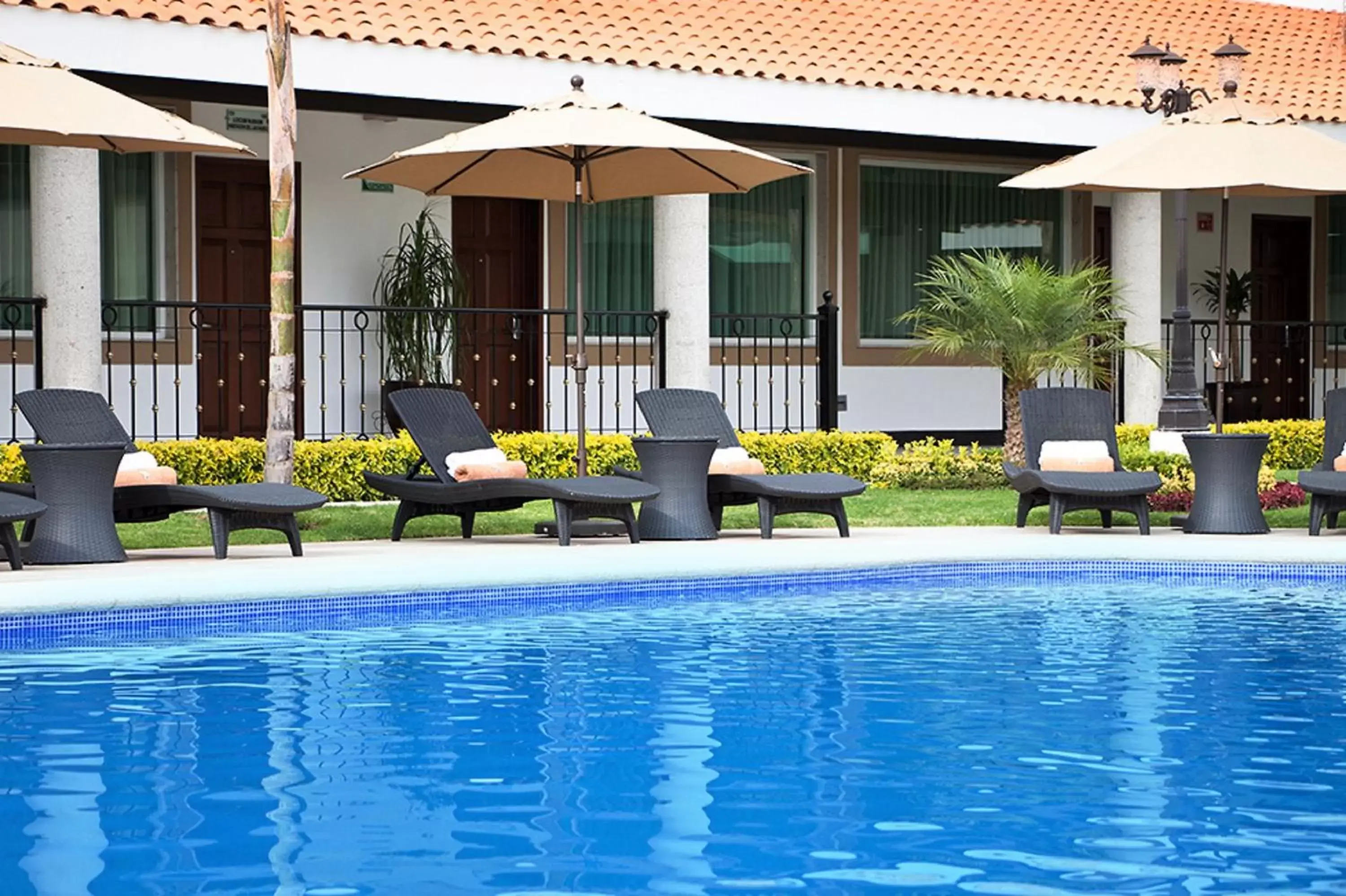 Swimming Pool in Hotel Ecce Inn & Spa