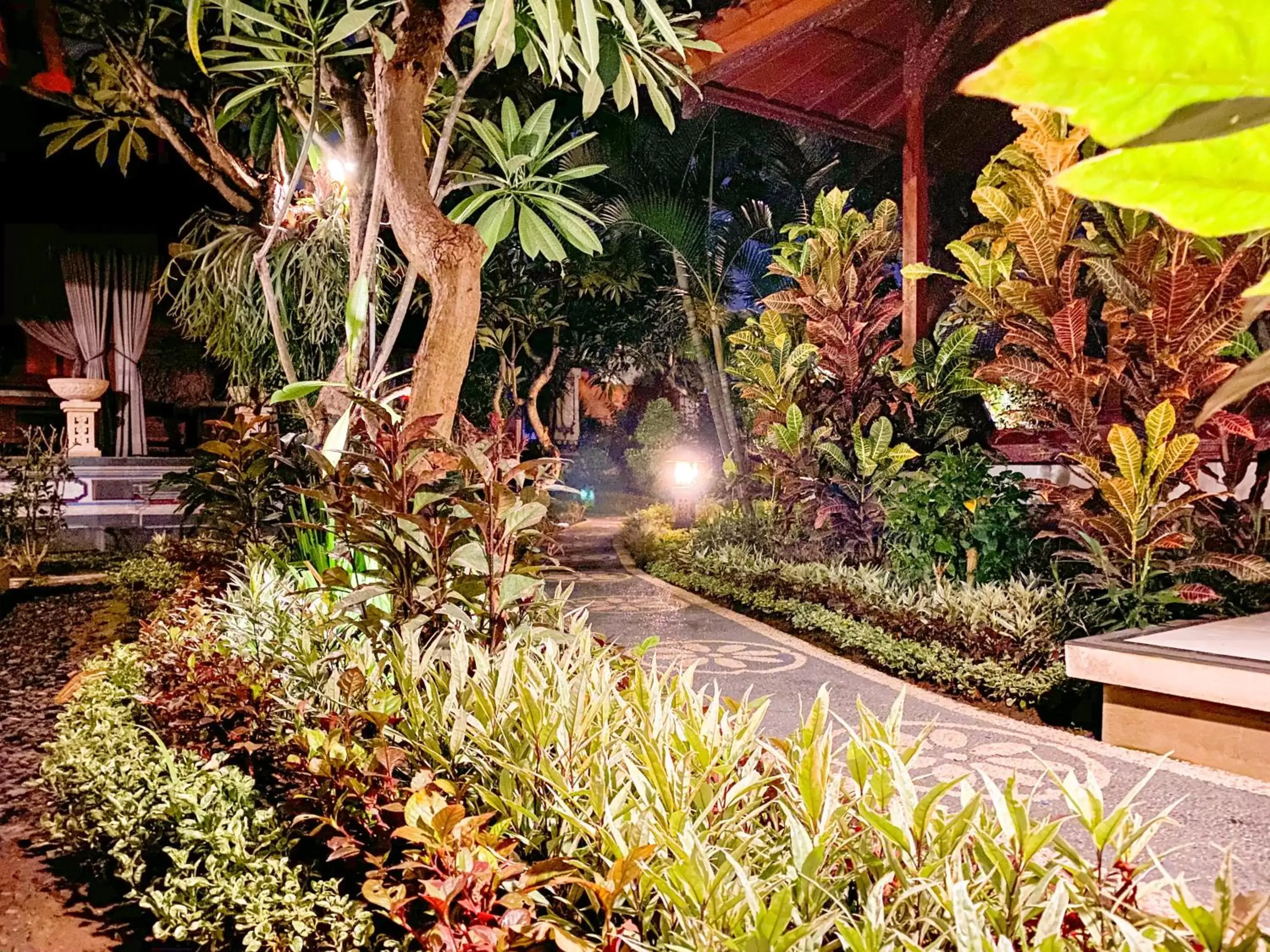 Garden in Kusnadi Hotel