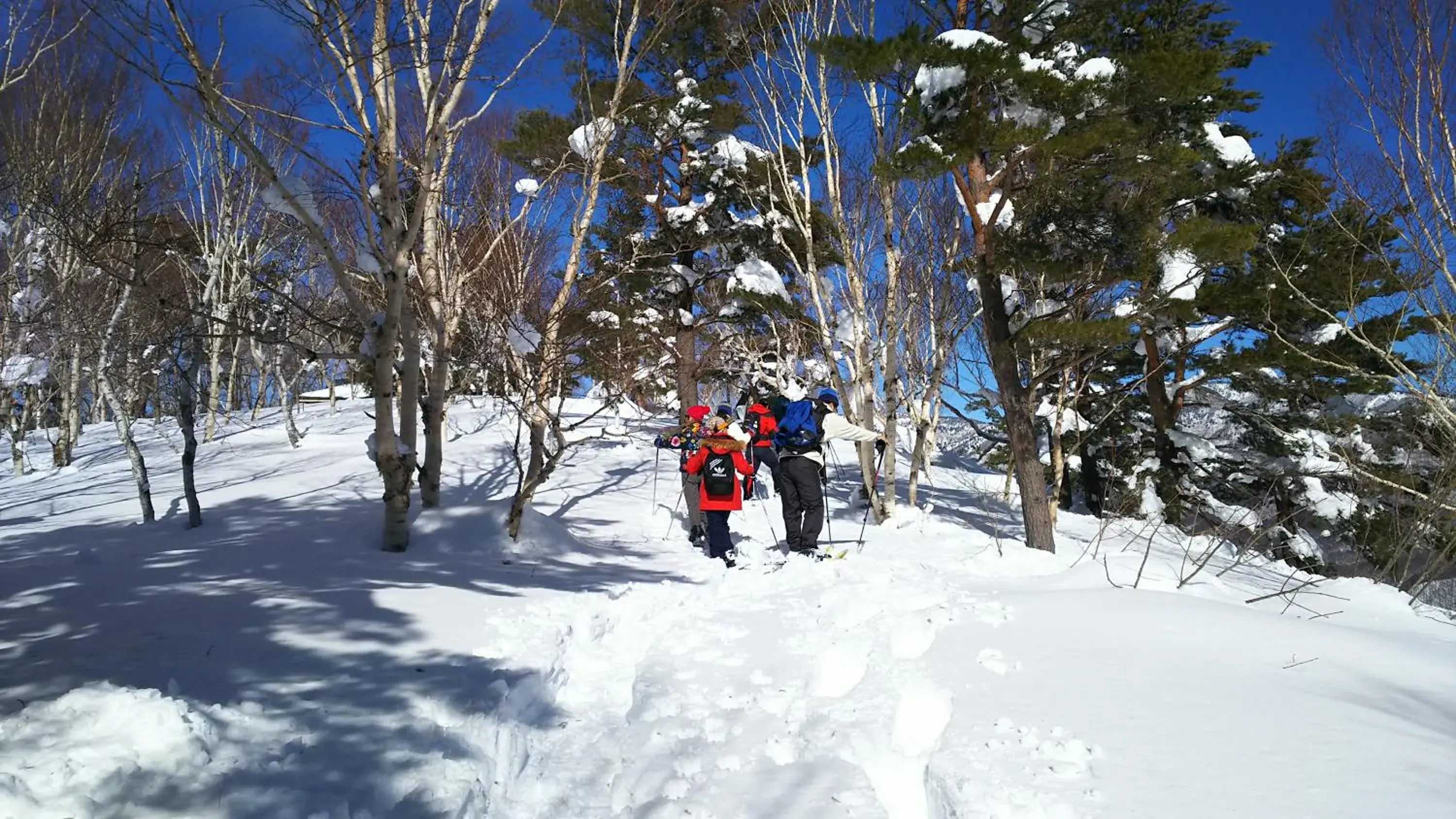 Sports, Winter in Shiga Palace Hotel