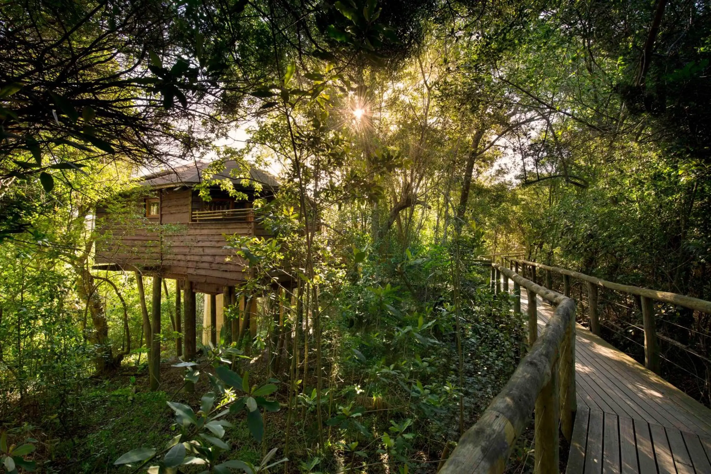 Garden in Tsala Treetop Lodge