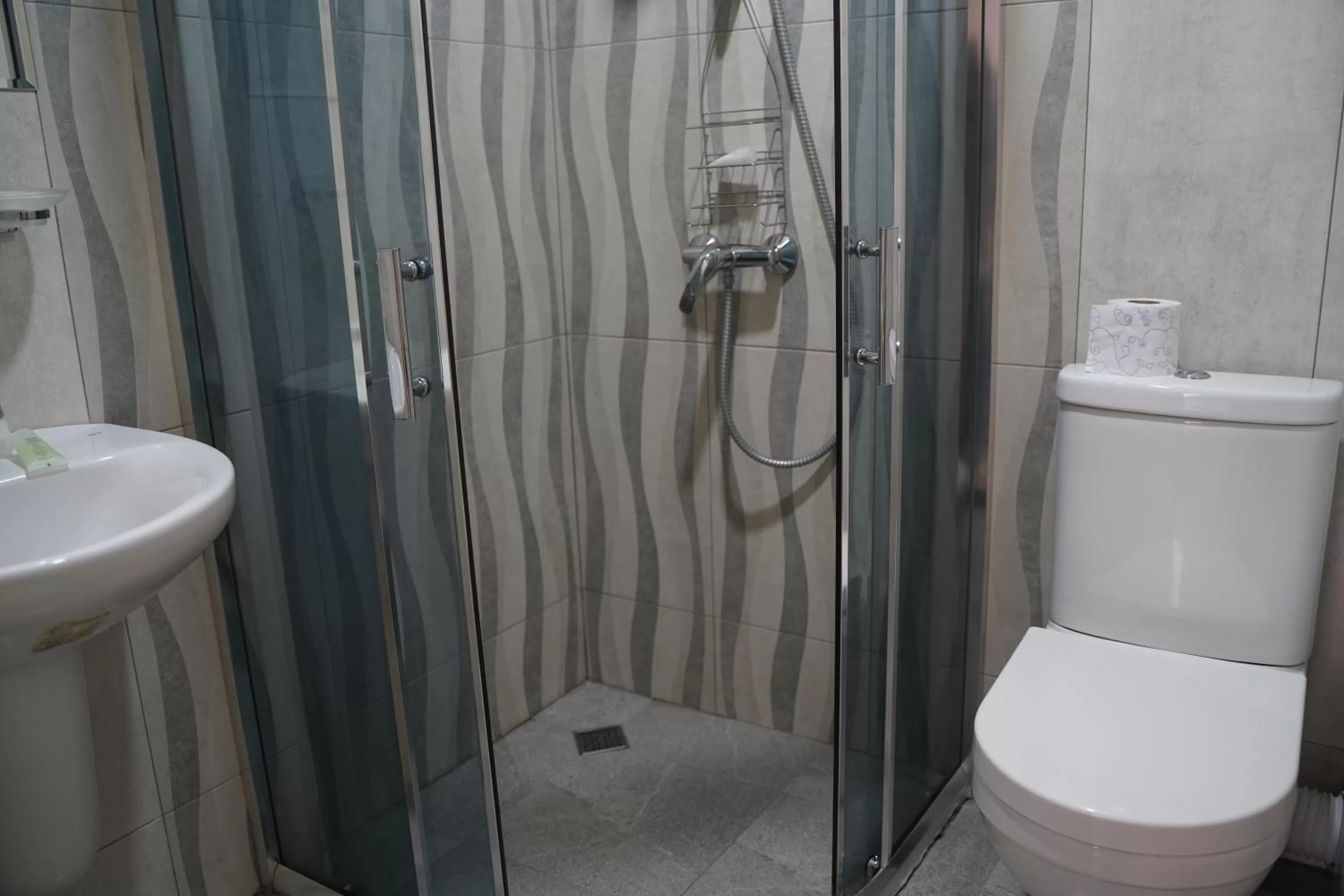 Shower, Bathroom in Aura Plaza Hotel