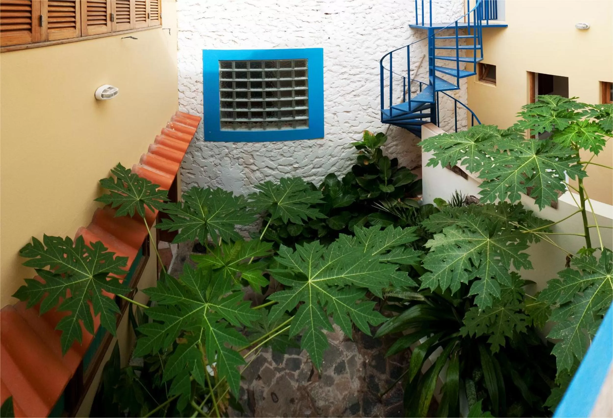 Garden in Solar Windelo