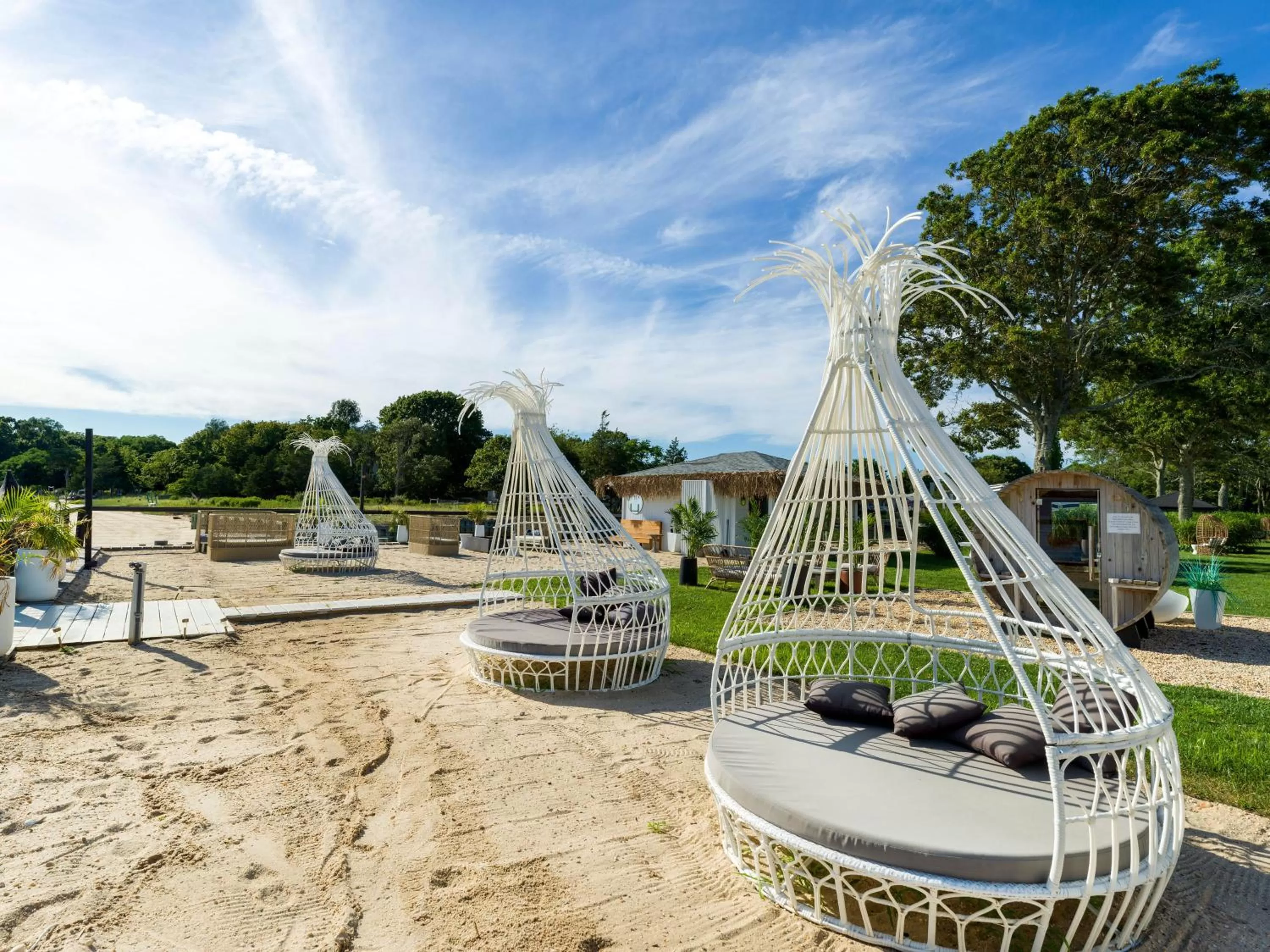 Garden in Aqua by American Beech - Adults Only