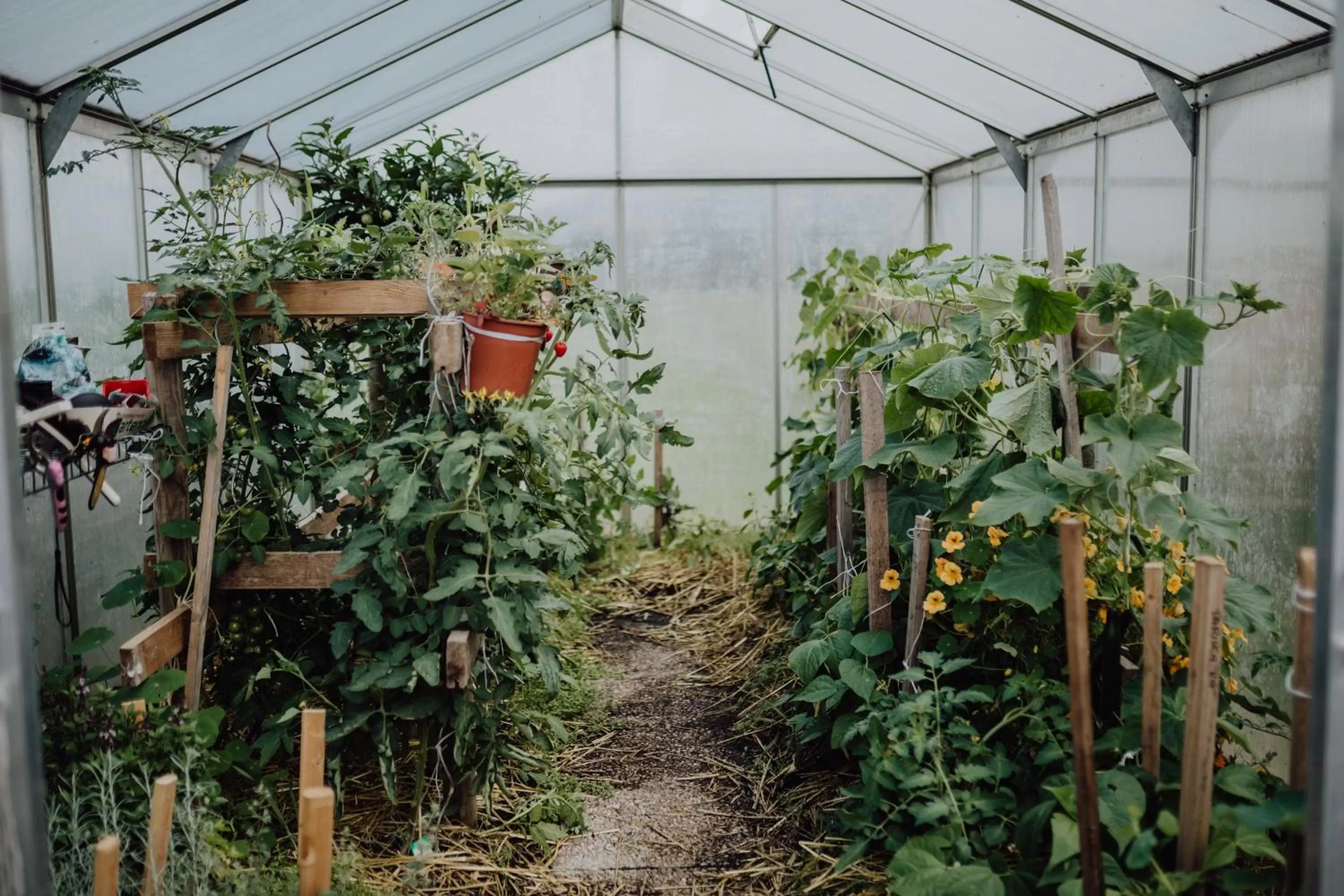 Garden in Panorama Hotel Gasthof Leidingerhof