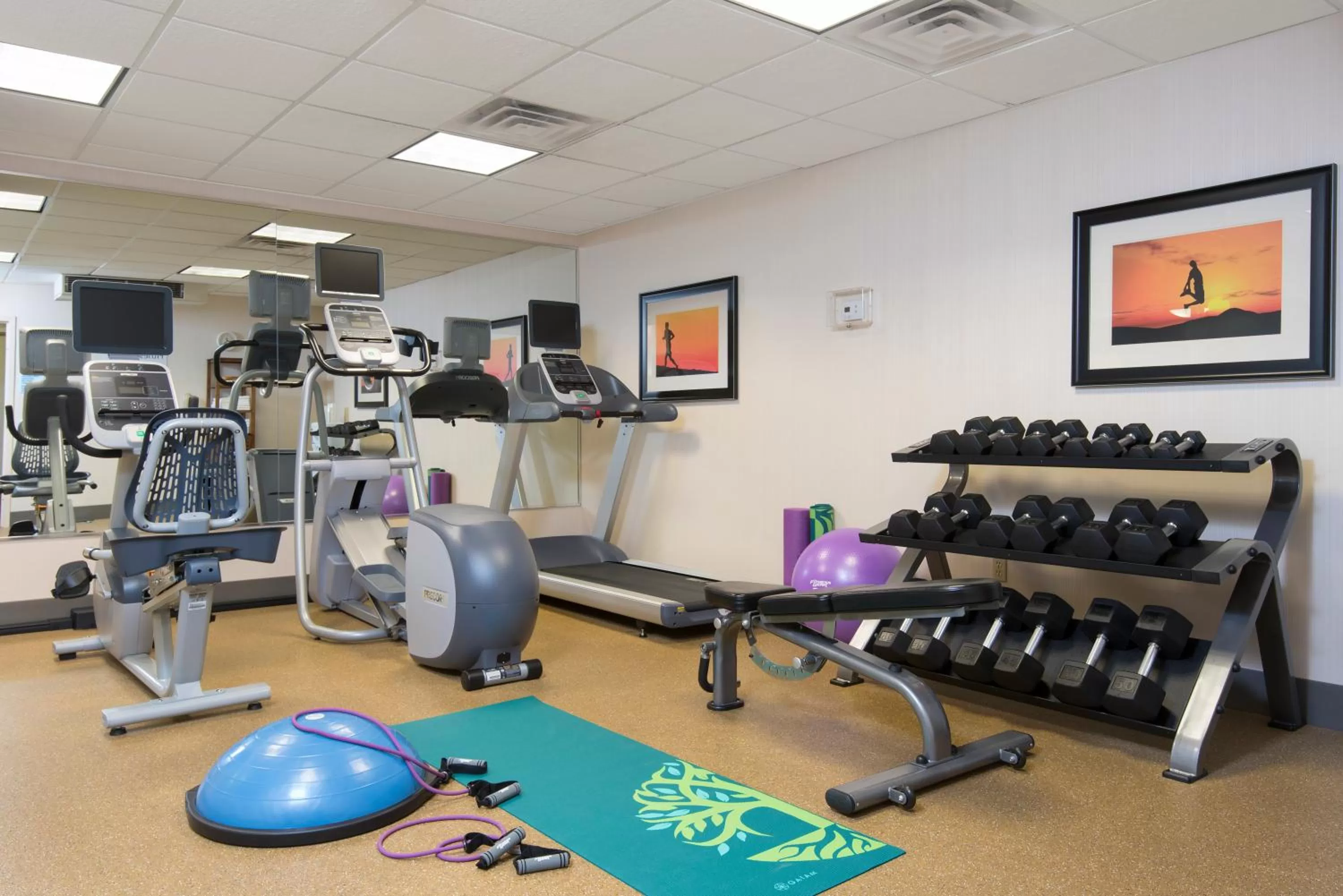 Fitness centre/facilities in Holiday Inn Express Hotel & Suites Grand Rapids-North by IHG