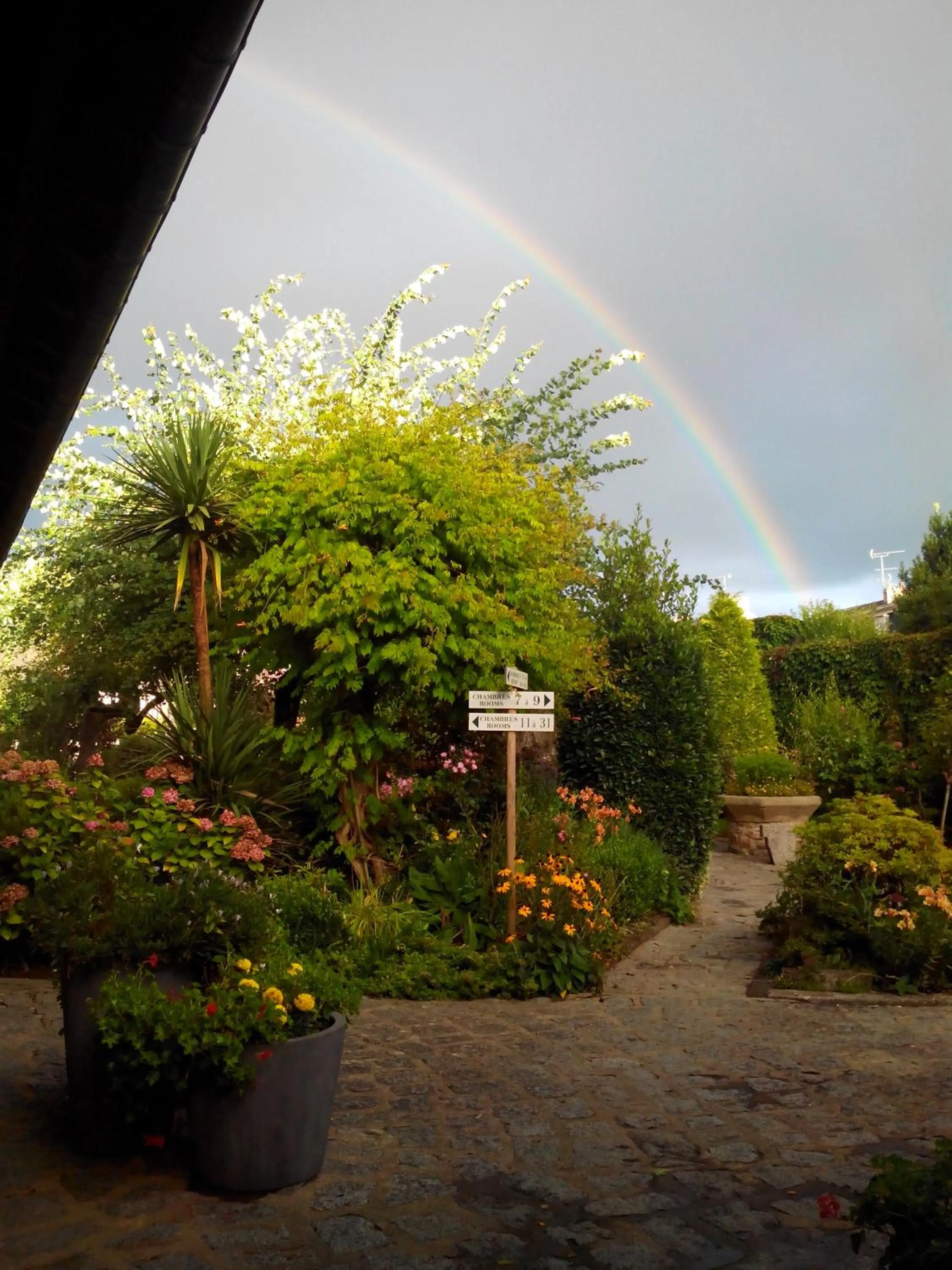 Garden in Hôtel de La Croix d'Or
